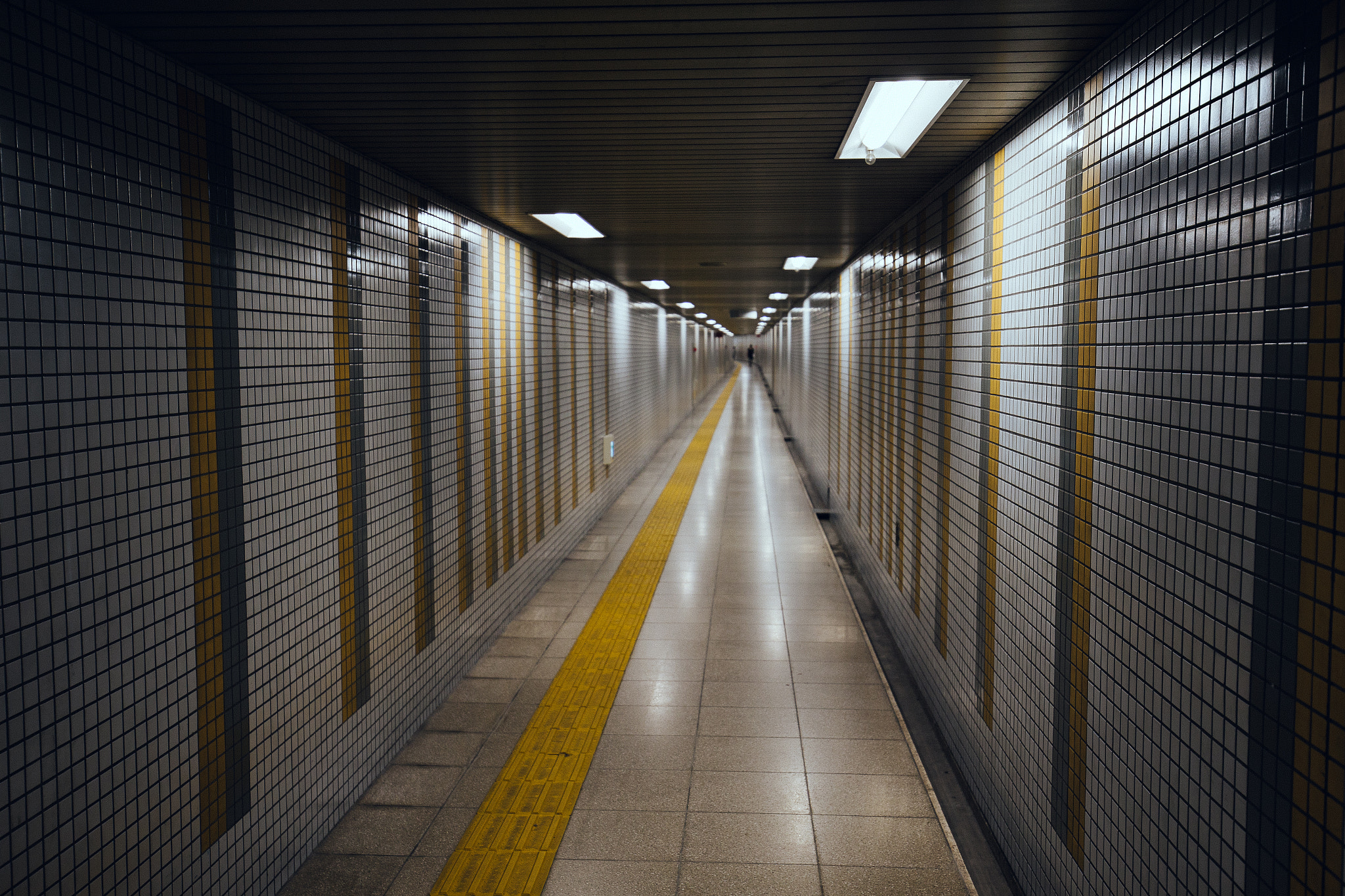 Canon EOS-1D X + Canon EF 16-35mm F4L IS USM sample photo. Kyoto photography