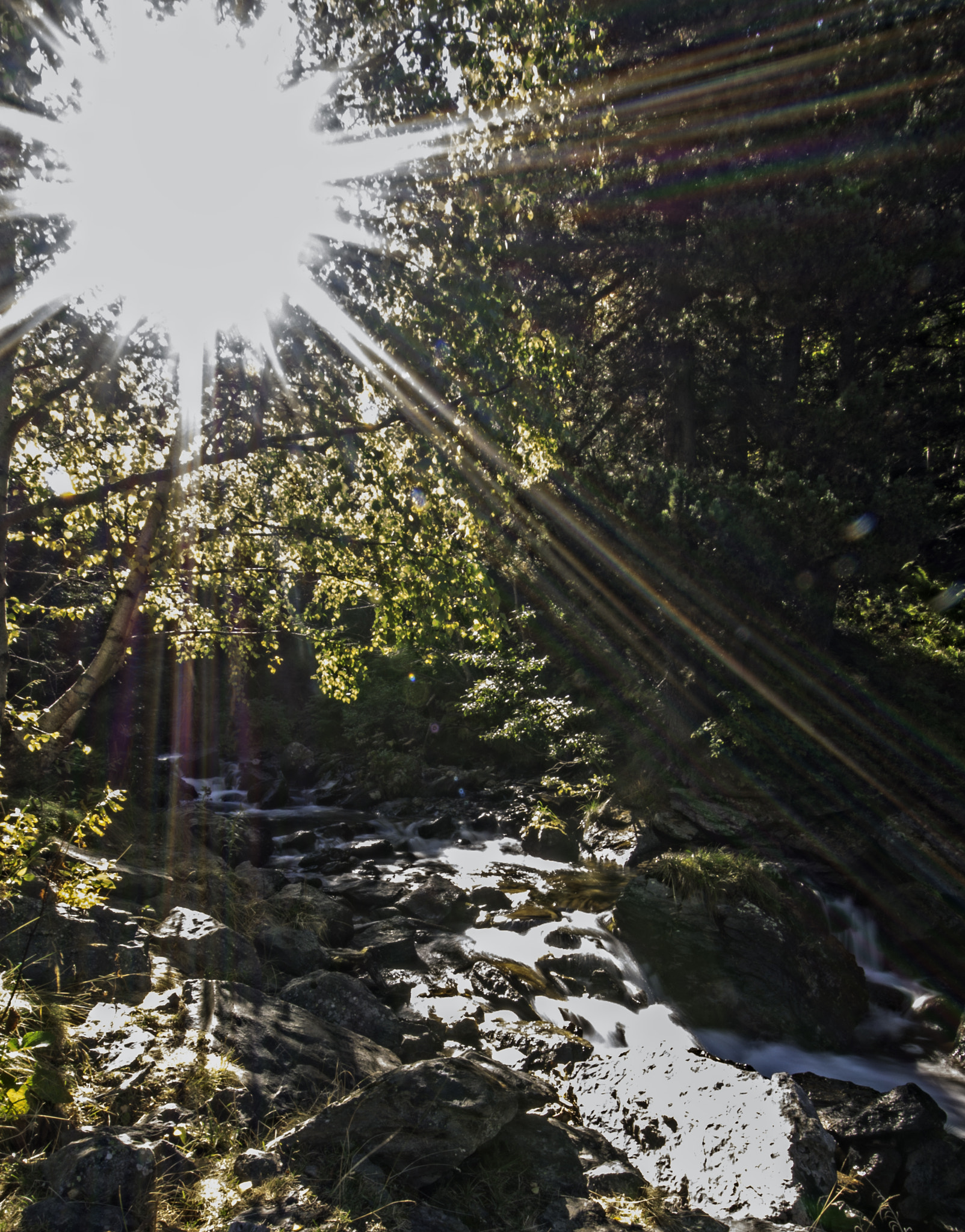 Nikon D5000 sample photo. The sun and the river photography