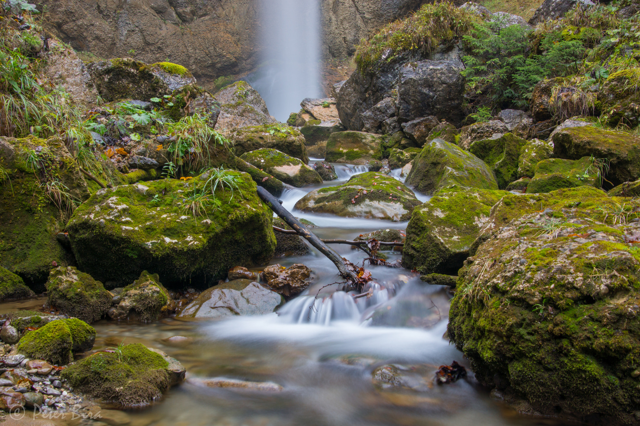 Tamron 16-300mm F3.5-6.3 Di II VC PZD Macro sample photo. Leuenfall photography