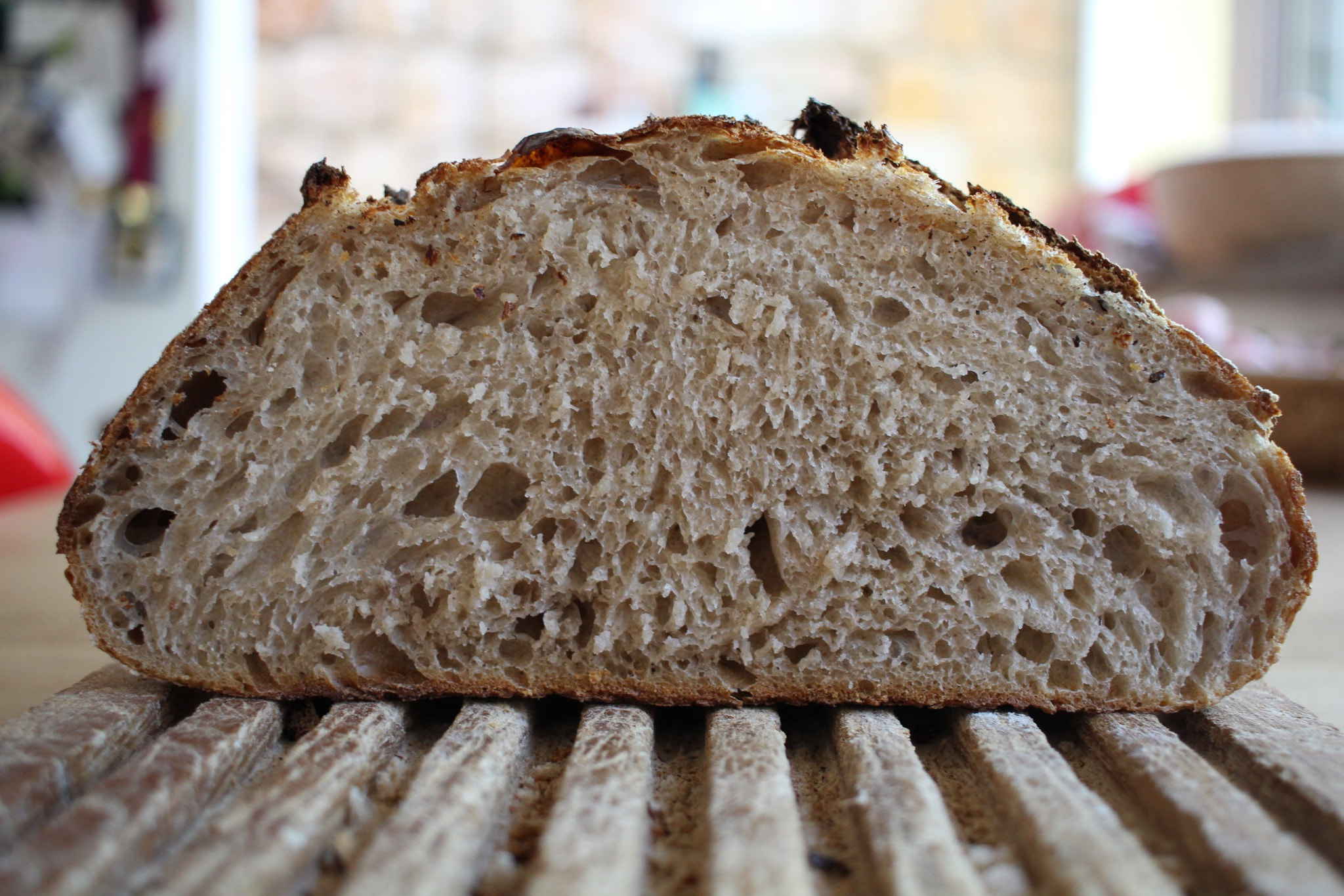 Canon EF-S 24mm F2.8 STM sample photo. Good crumb photography
