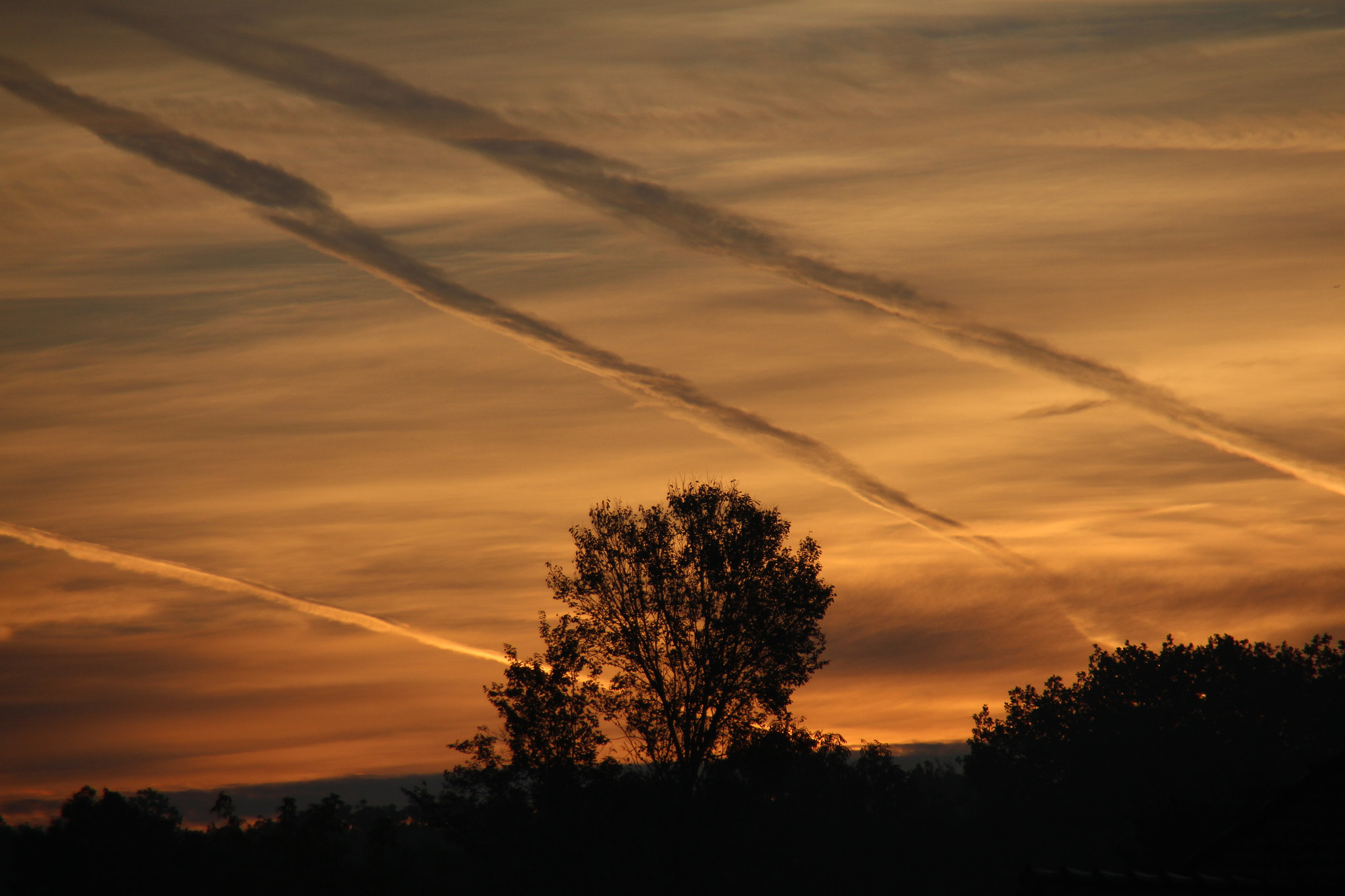 Canon EOS 650D (EOS Rebel T4i / EOS Kiss X6i) sample photo. Morning stripes photography