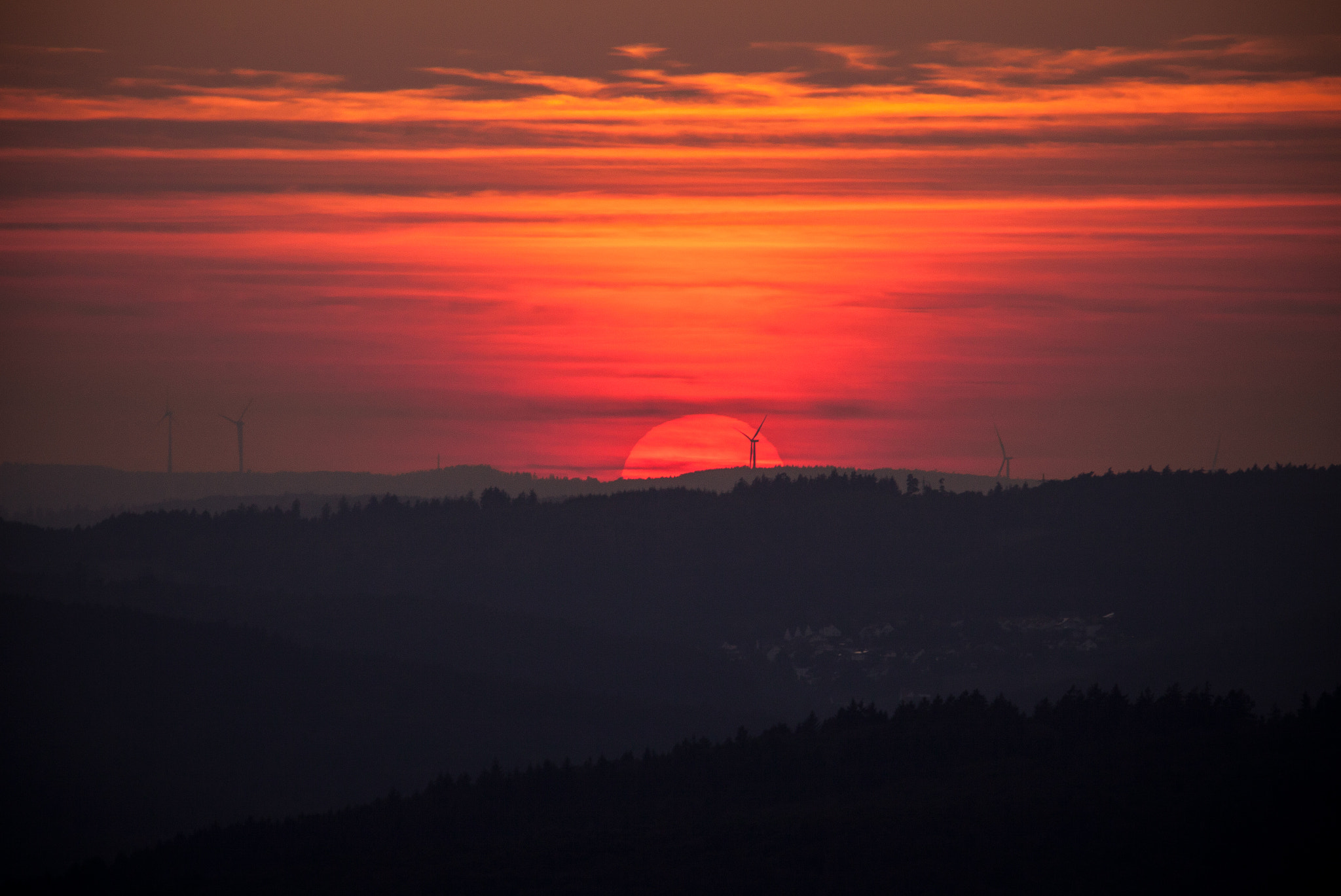 Tamron SP 150-600mm F5-6.3 Di VC USD sample photo. Last light is fighting photography