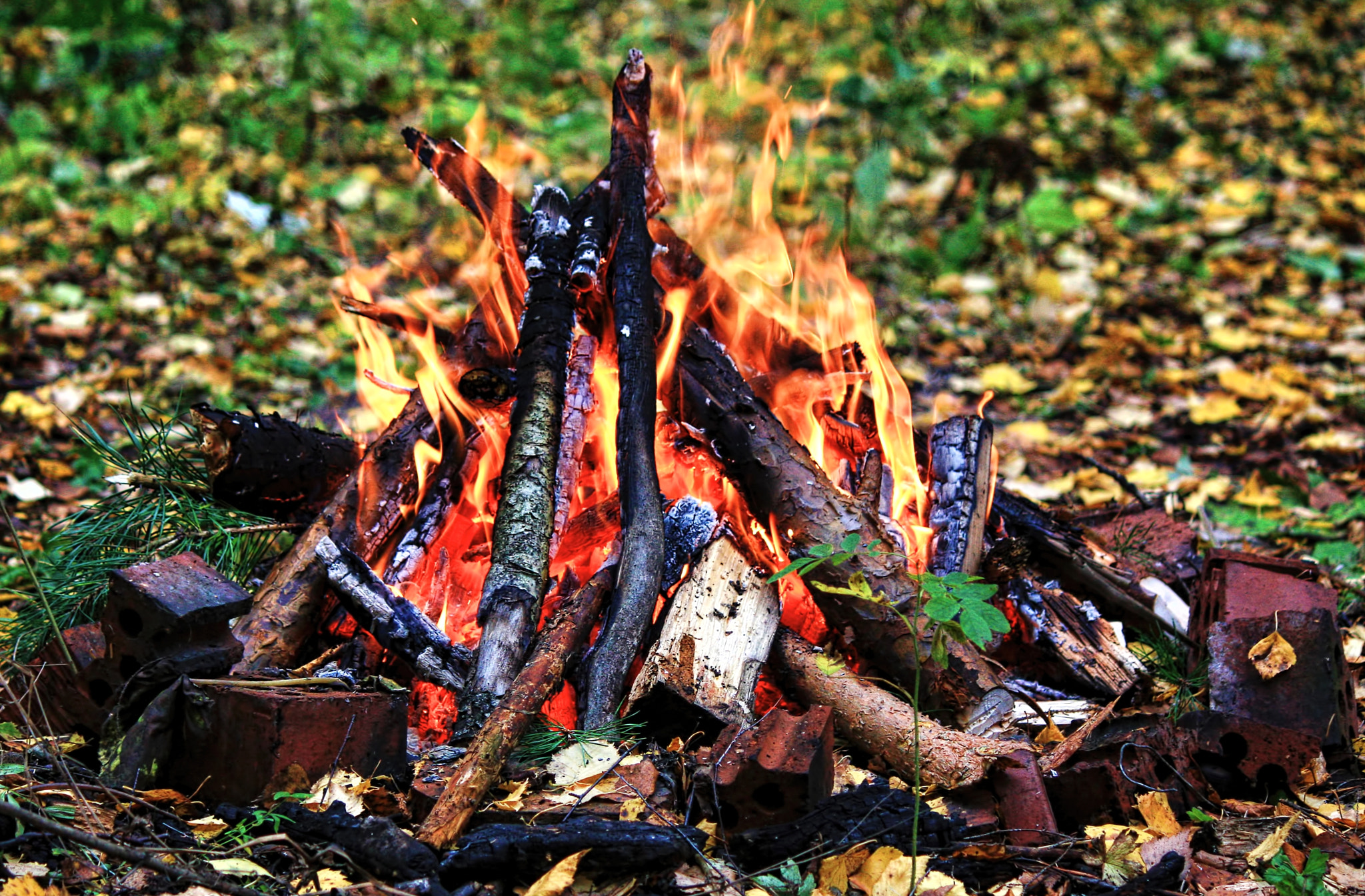 Canon EOS 450D (EOS Rebel XSi / EOS Kiss X2) sample photo. Fire photography
