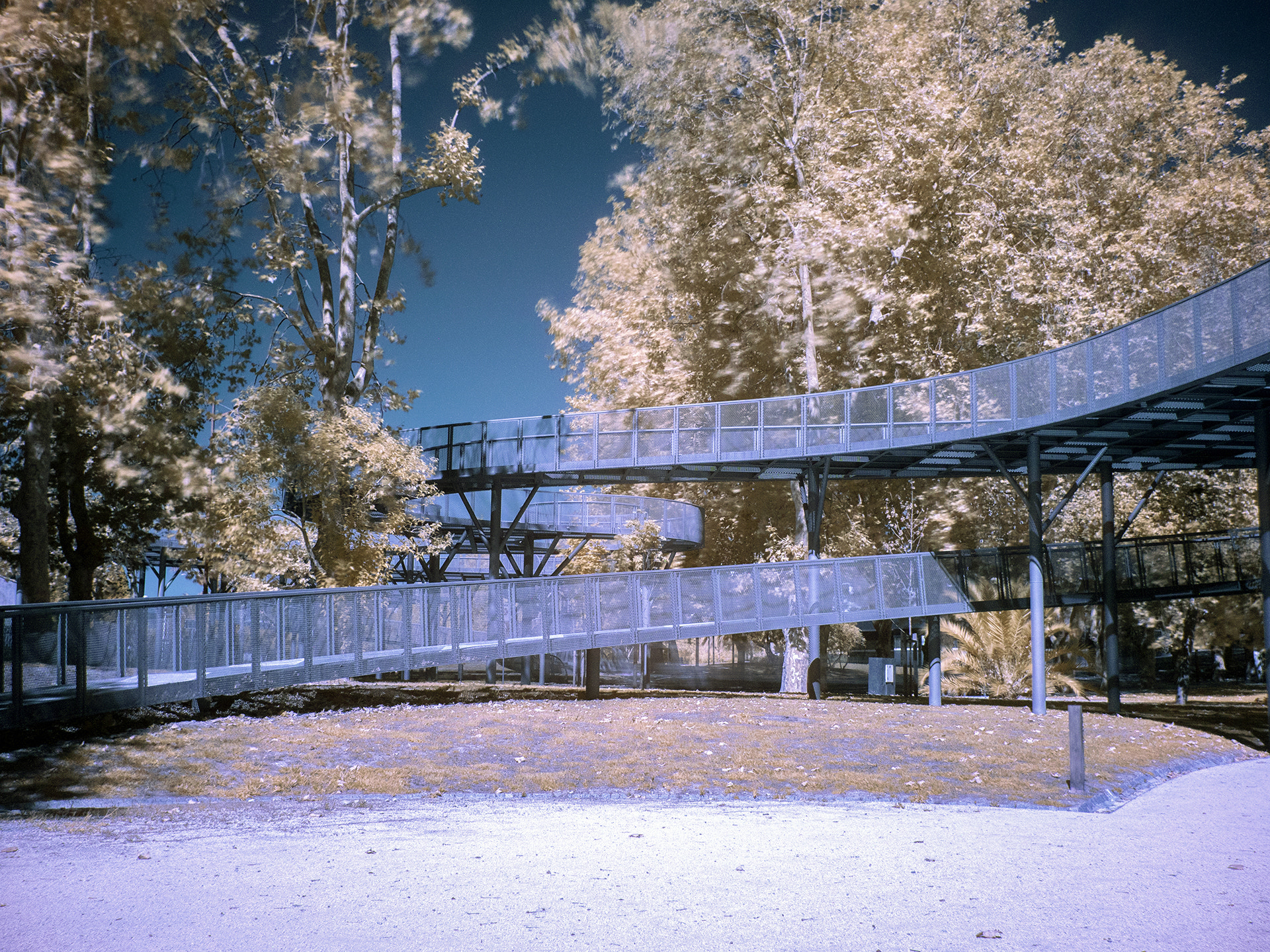 Panasonic Lumix DMC-GX8 sample photo. Aveiro_infrared7 photography