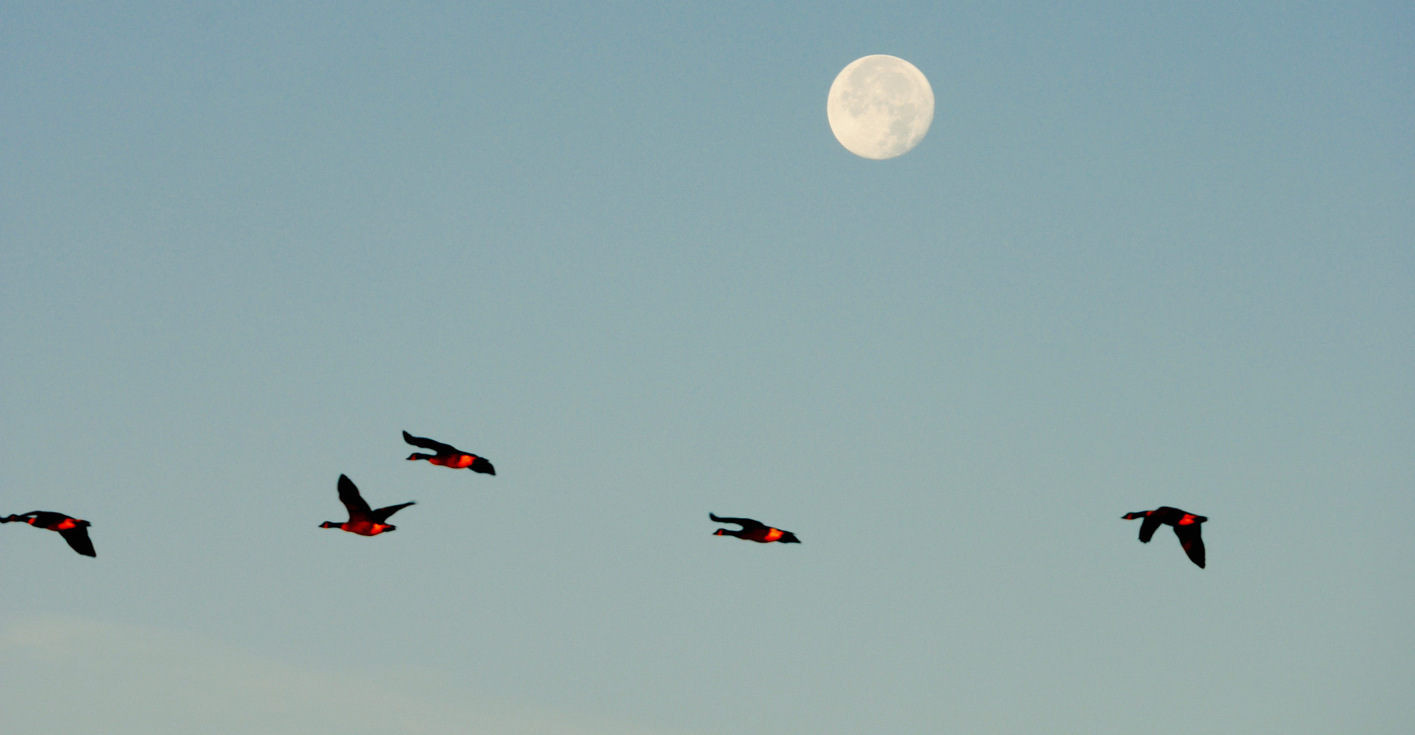 Panasonic Lumix DMC-GX7 sample photo. Almost there. photography