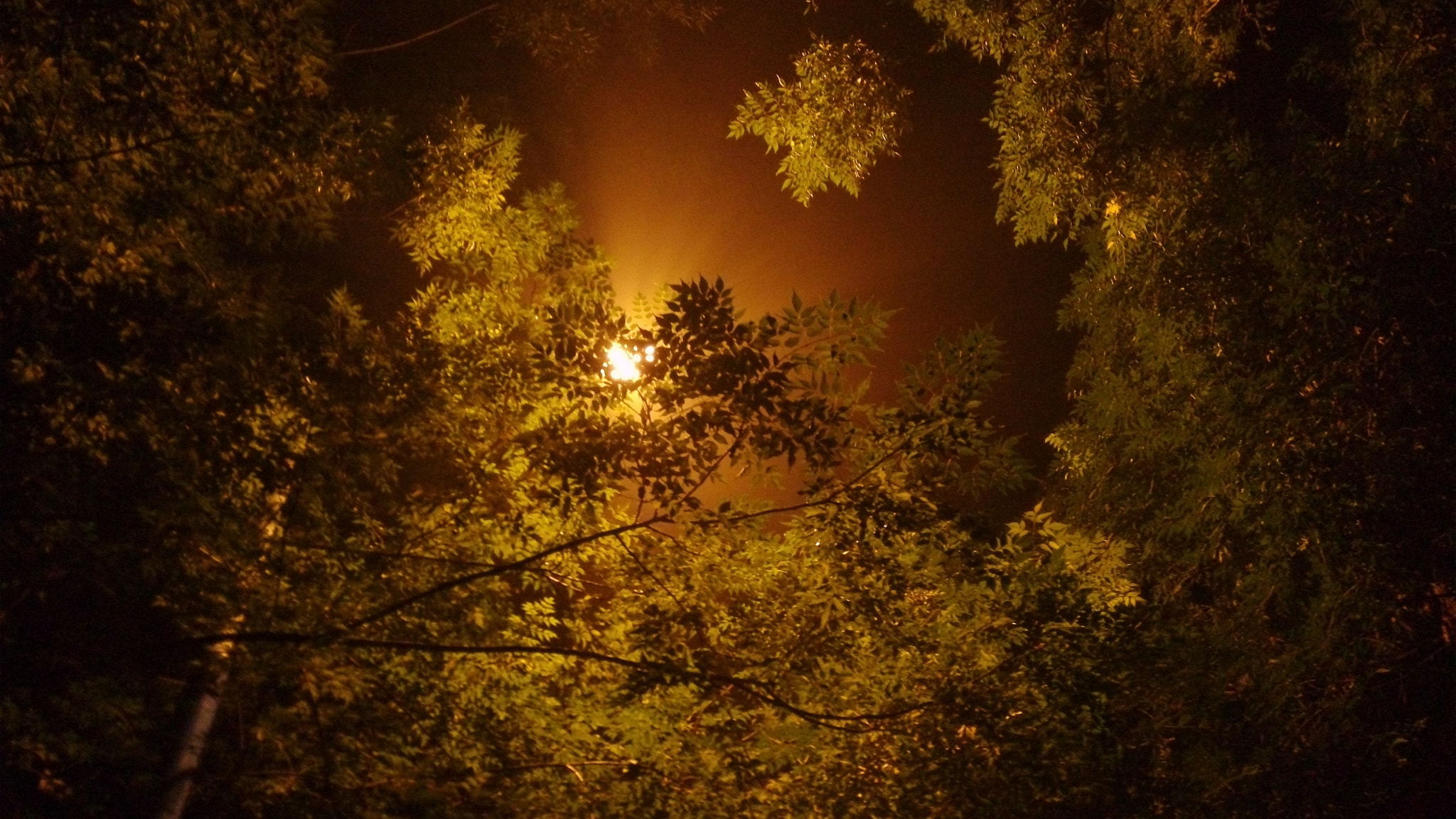 Xiaomi MI3 sample photo. 夜灯 photography
