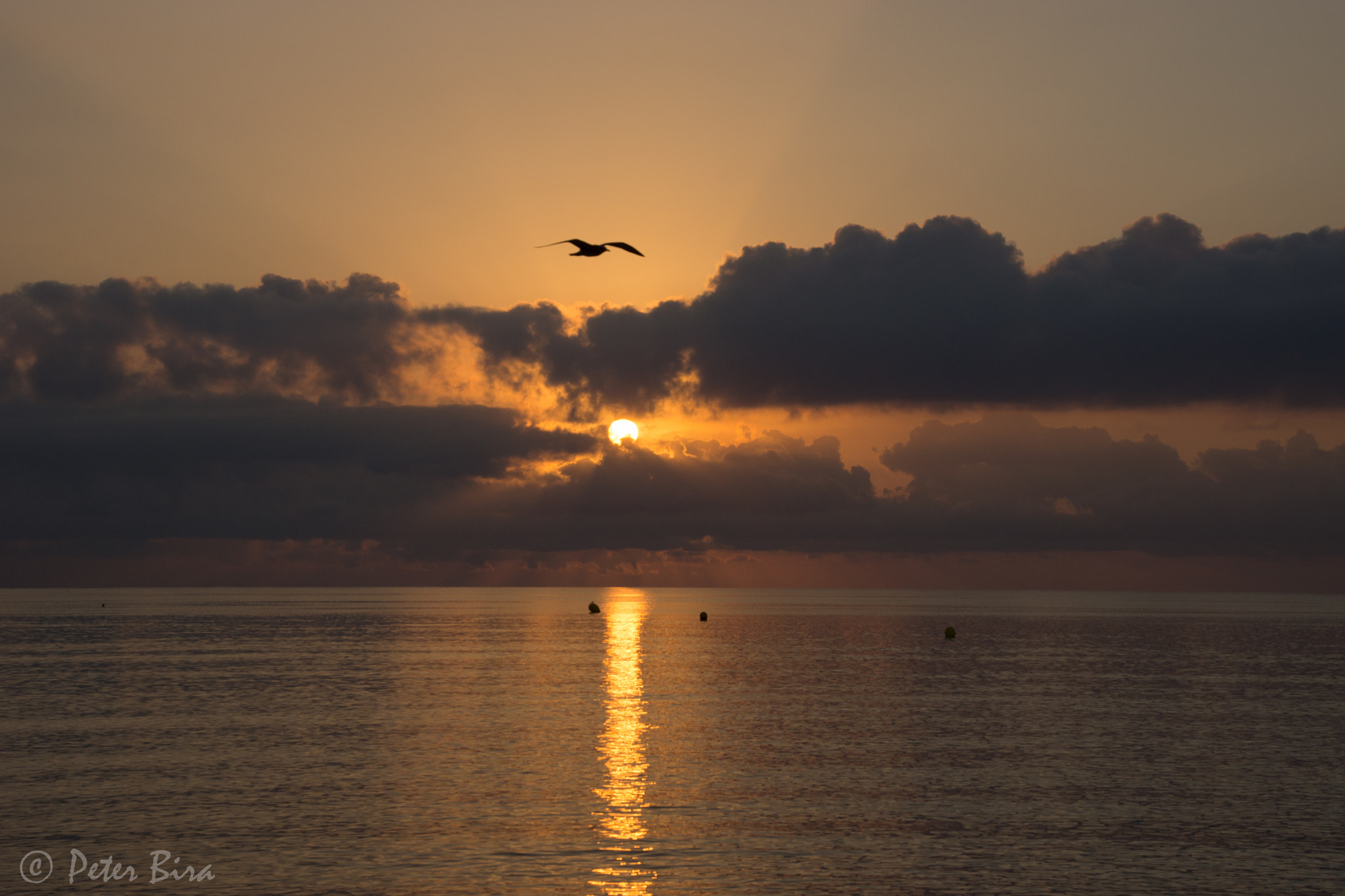 Tamron 16-300mm F3.5-6.3 Di II VC PZD Macro sample photo. Sunrise photography