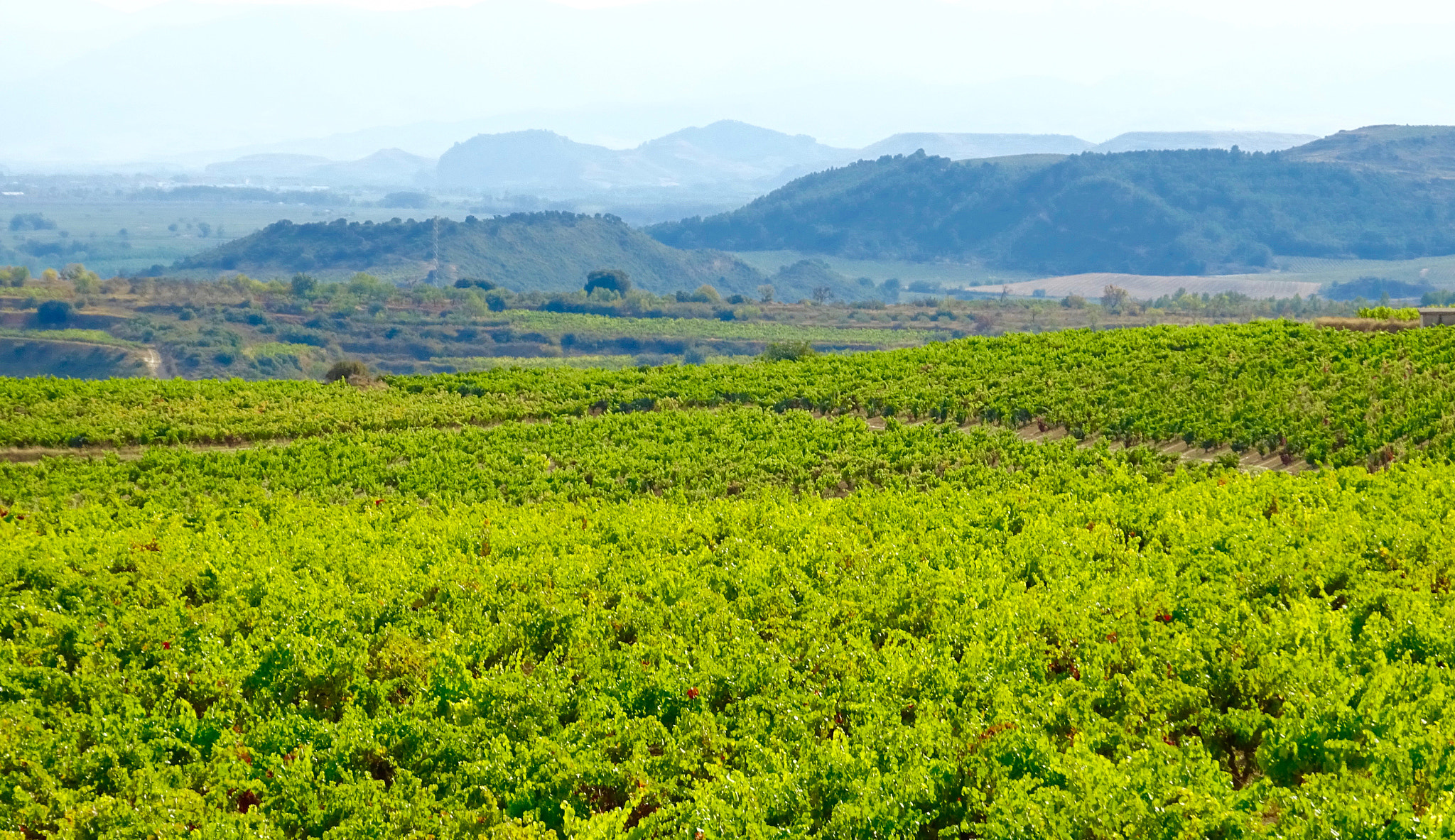 Sony 24-720mm F3.5-6.3 sample photo. La rioja photography