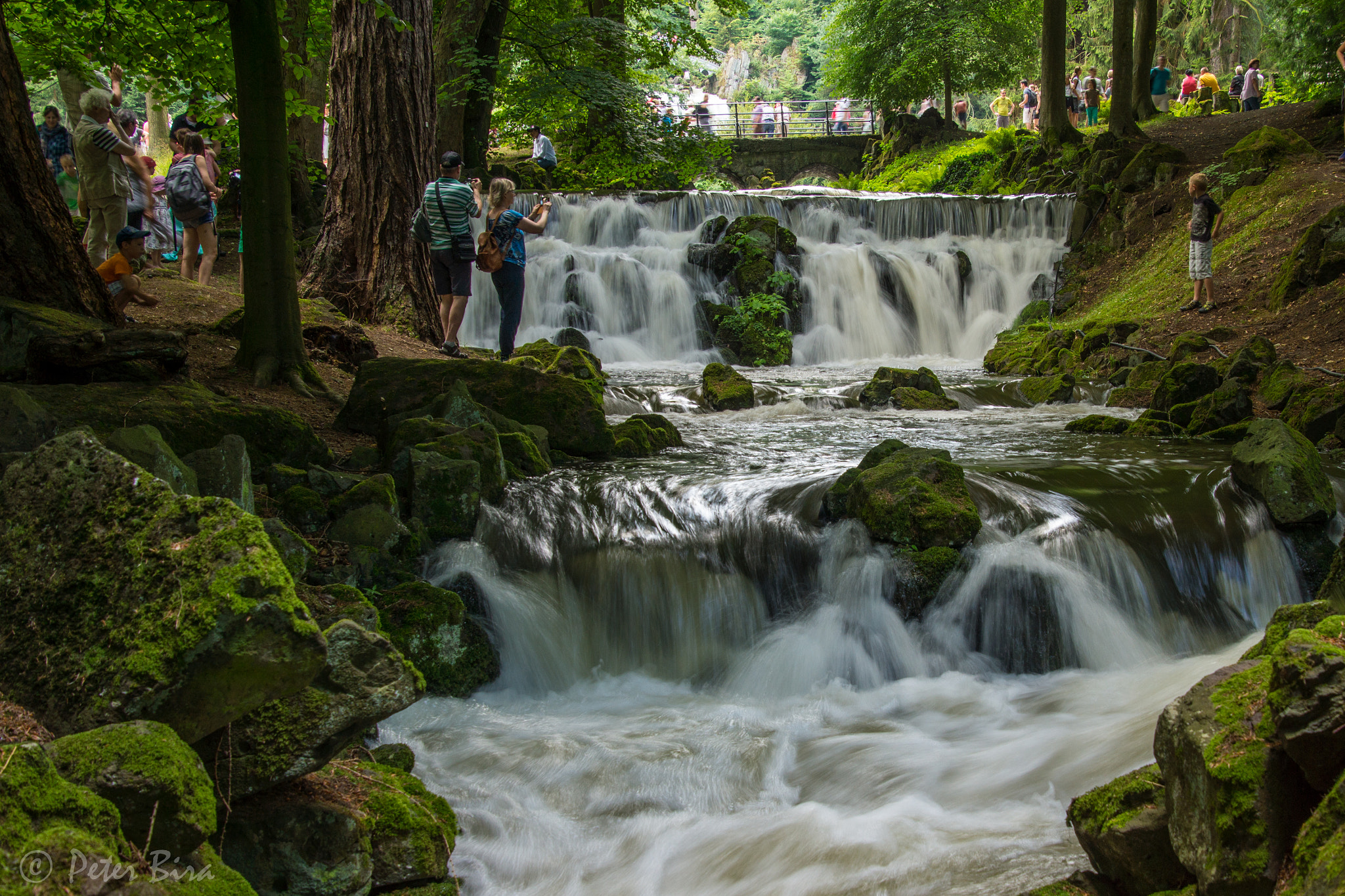 Sony SLT-A65 (SLT-A65V) sample photo. Water garden kassel photography