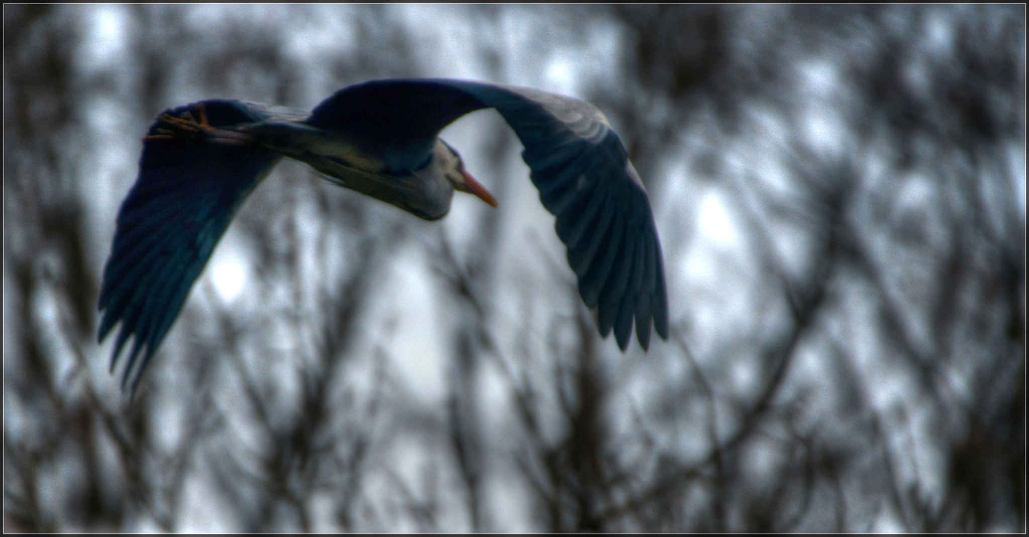 Nikon D800 sample photo. Beim vorbeiflug photography