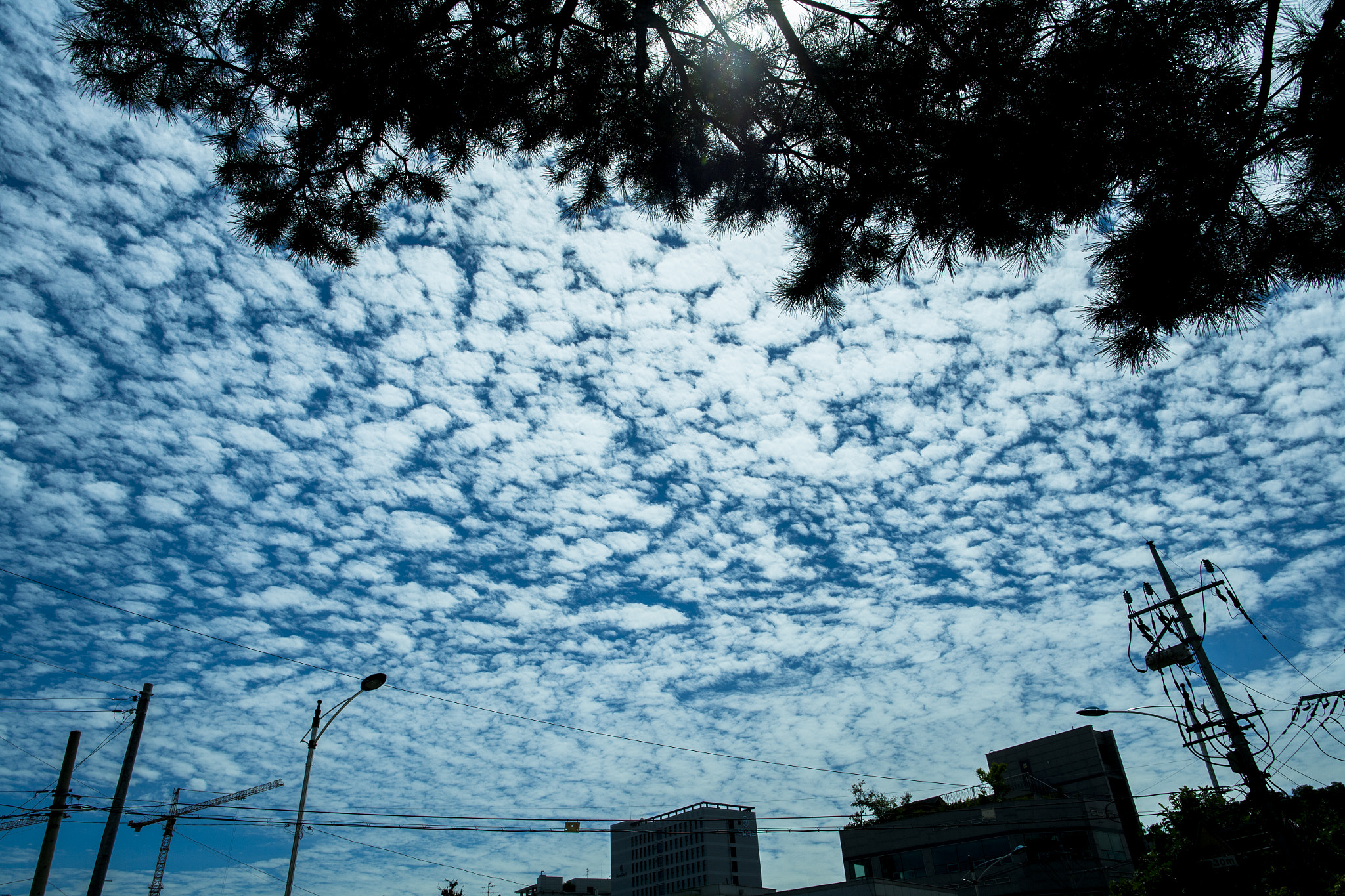 Canon EF 24mm F1.4L II USM sample photo. Cloudy photography