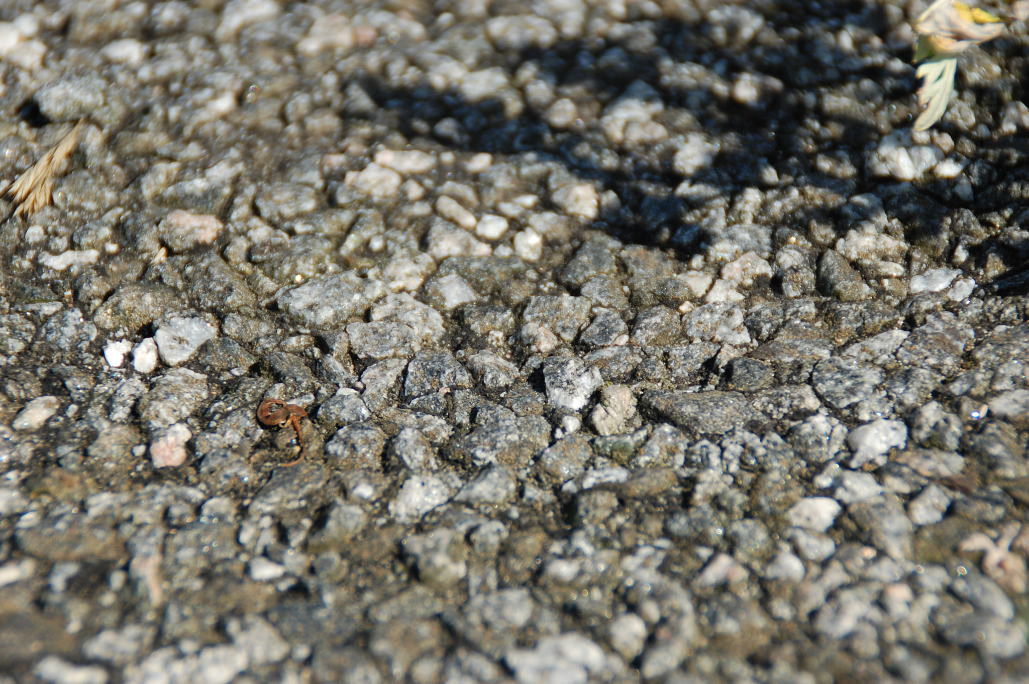 Nikon D40 sample photo. Martin poulsen () photography