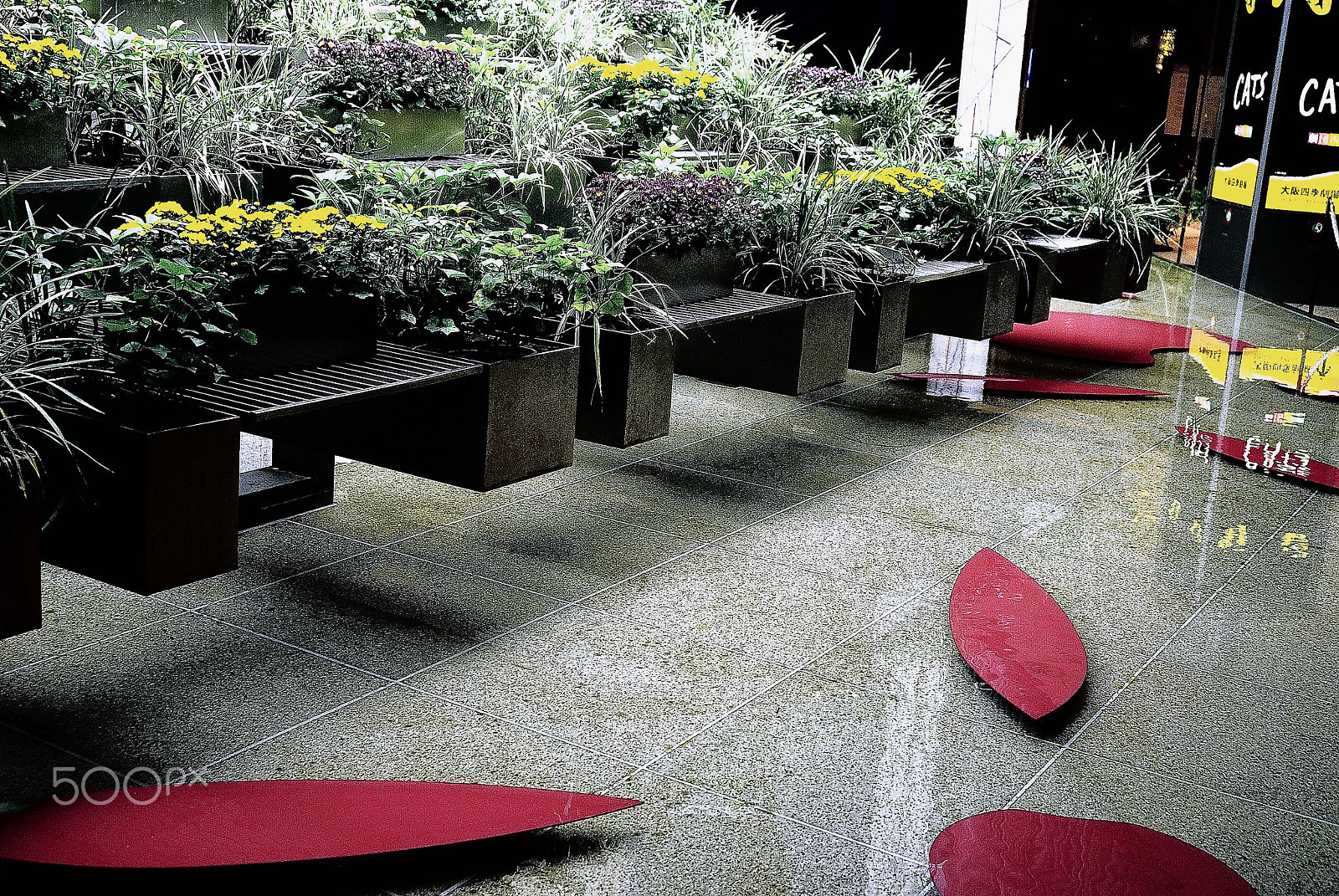 Nikon D200 sample photo. An illusions, not a synthesis even trick photography