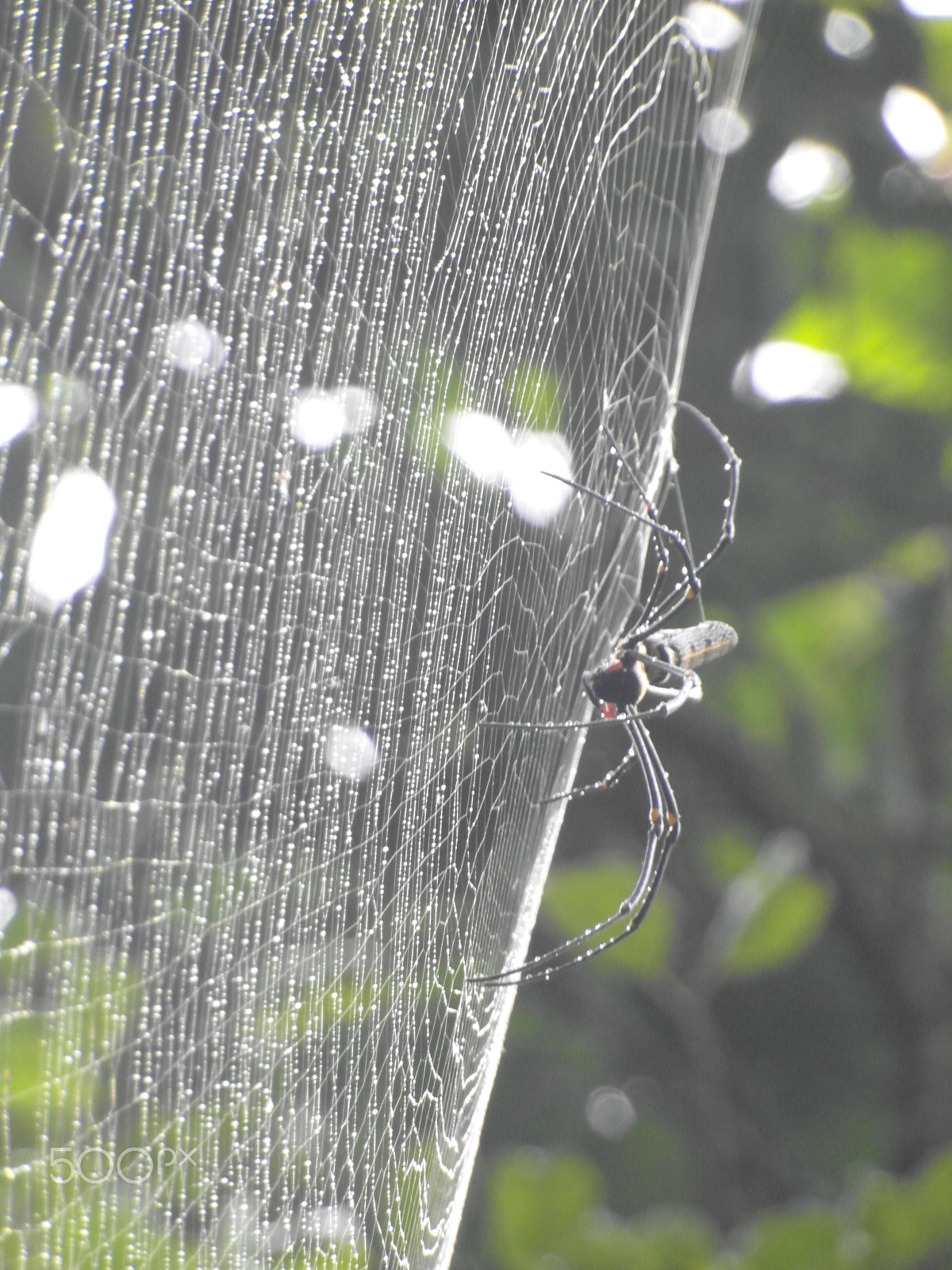 Samsung WB750 sample photo. Chanthaburi, thailand photography