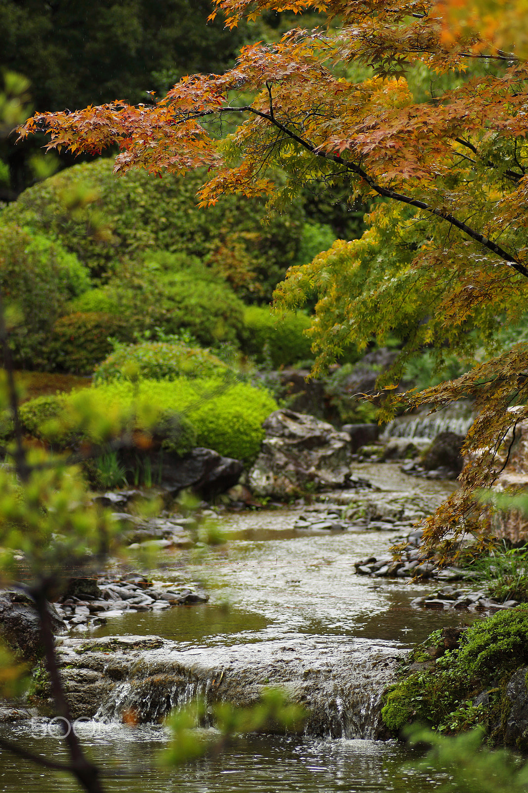 Canon EOS 100D (EOS Rebel SL1 / EOS Kiss X7) sample photo. Footsteps of autumn photography