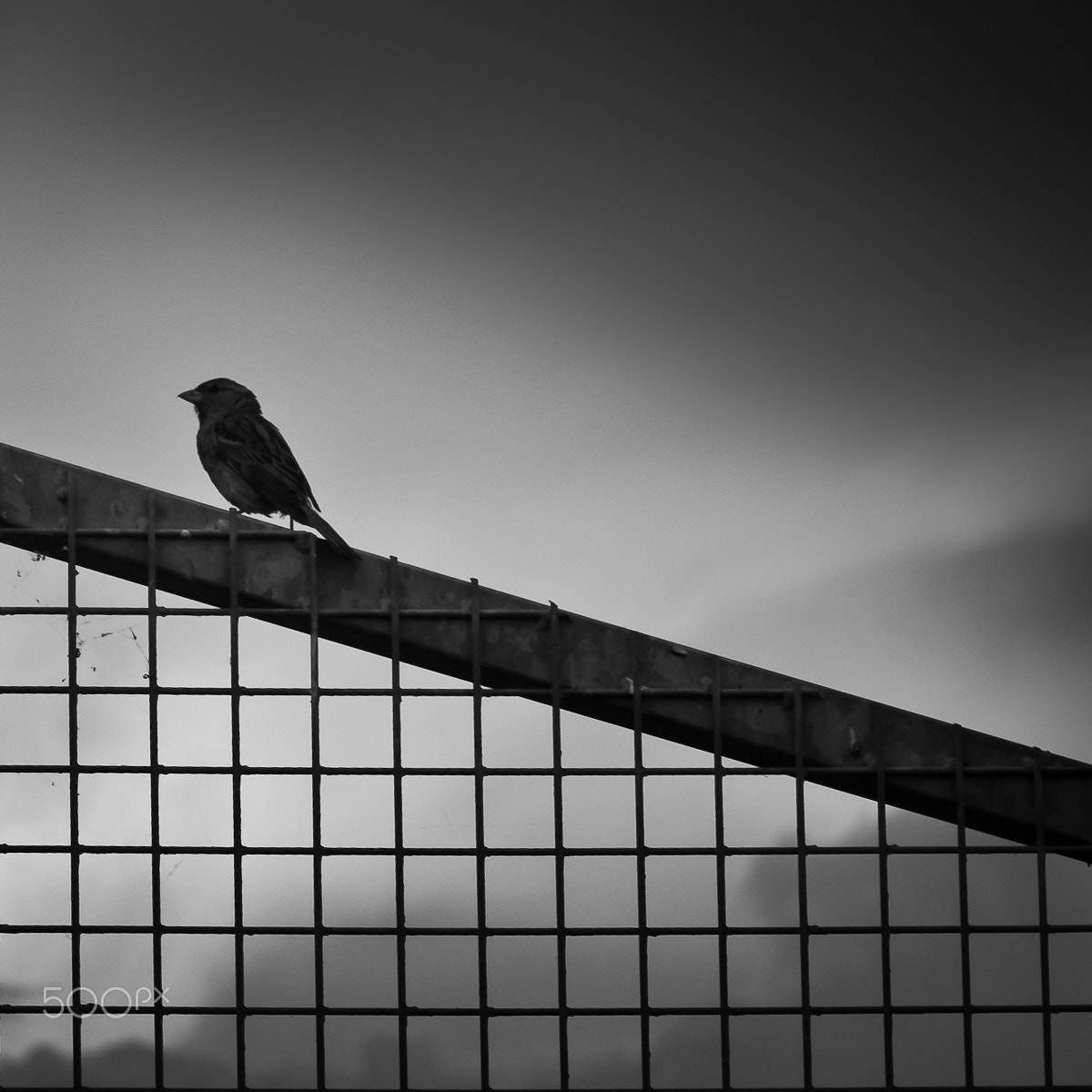 Nikon D3000 sample photo. Told you i won't go photography