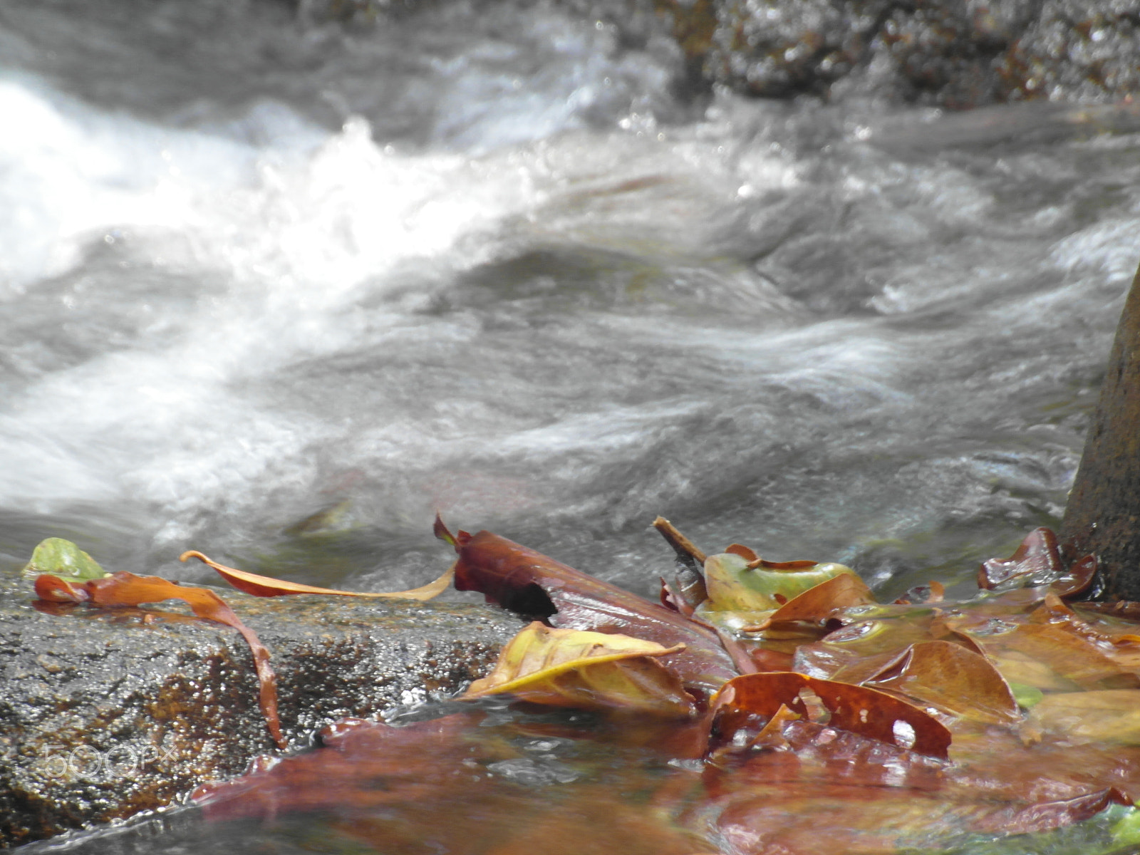 Samsung WB750 sample photo. Thailand photography
