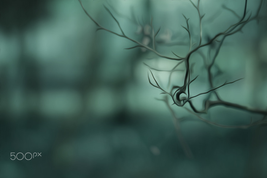 Nikon D3000 sample photo. Autumn energy photography