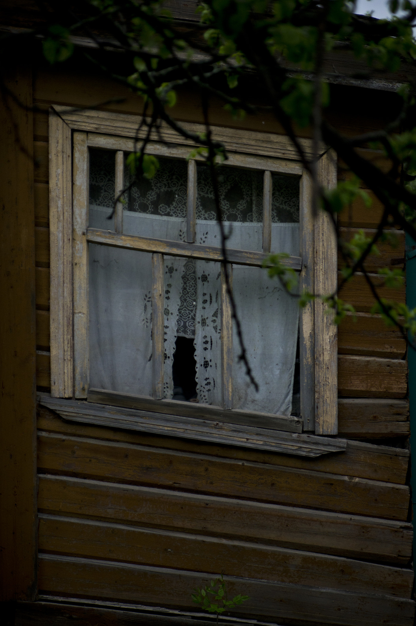 Sony Alpha DSLR-A580 sample photo. Travelling through the golden ring of russia photography