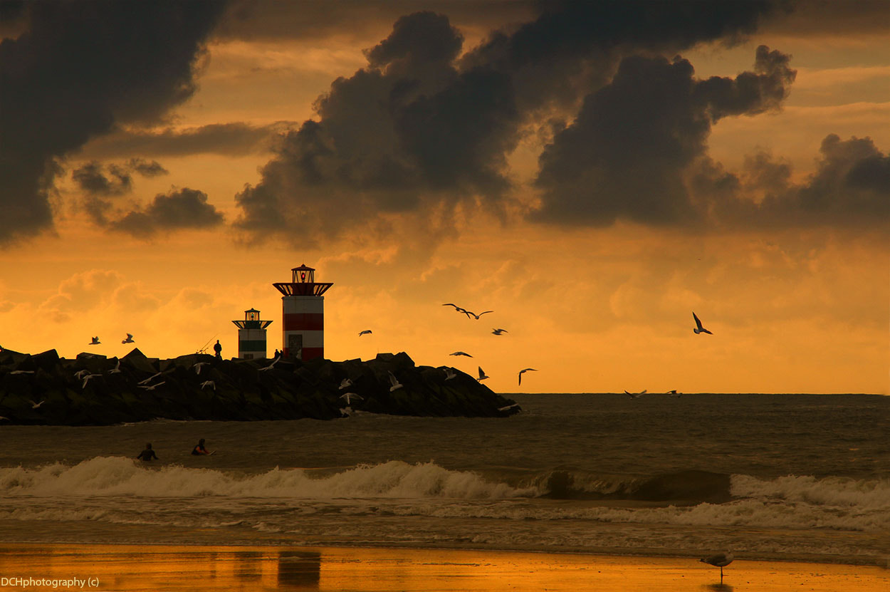 Sigma 18-200mm f/3.5-6.3 DC OS sample photo. Golden light photography