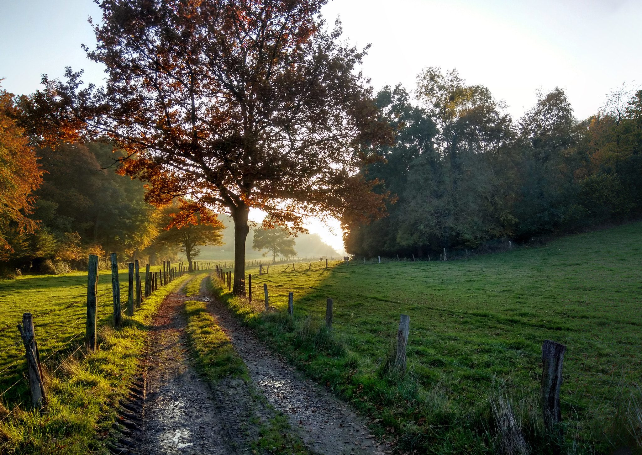 Xiaomi MI3 sample photo. Soleil d'automne tombant photography