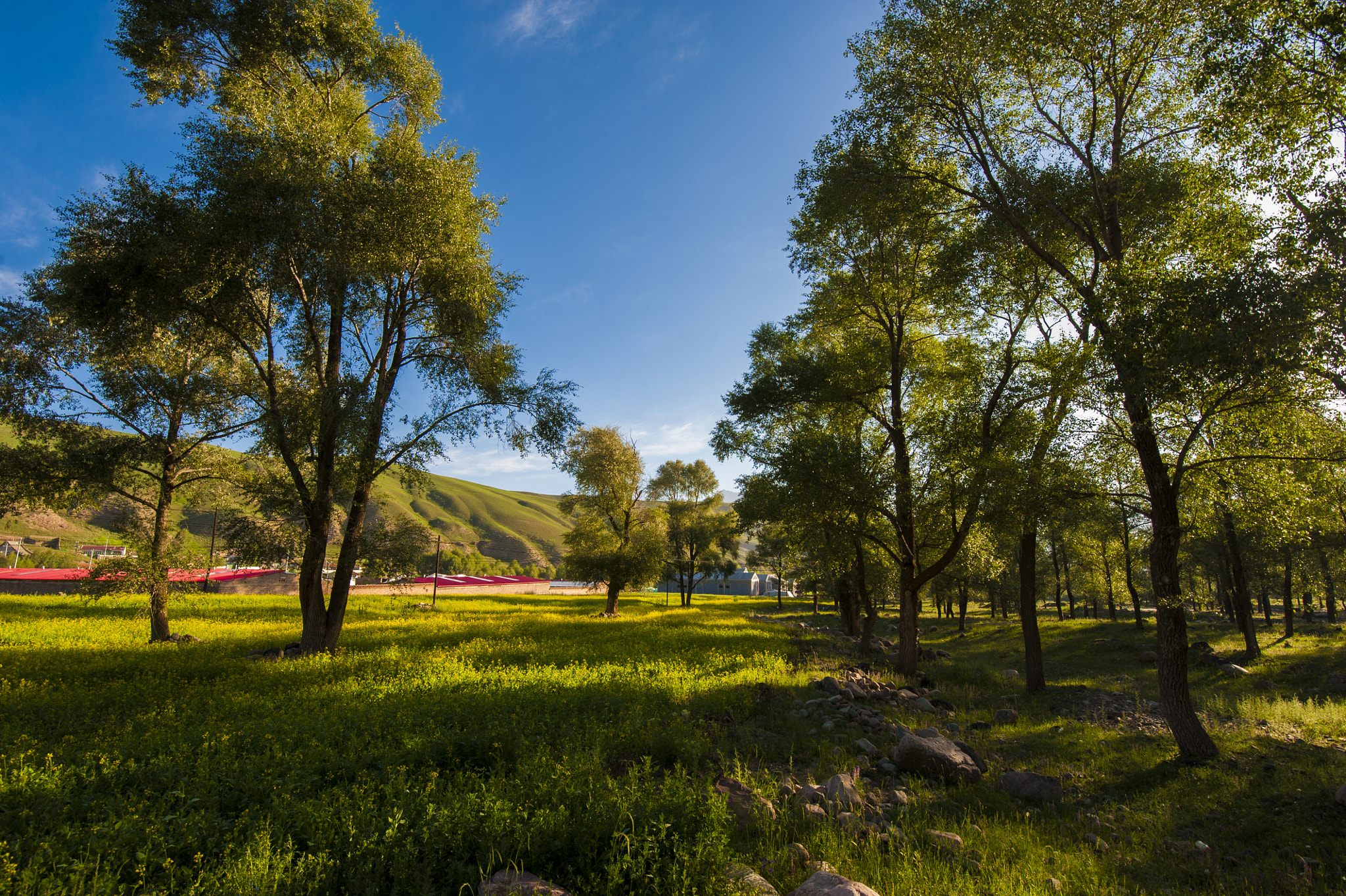 Tamron SP 15-30mm F2.8 Di VC USD sample photo. New day photography
