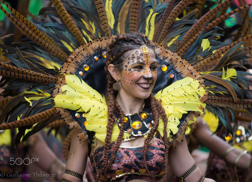 Nikon Nikkor AF-S 300mm F4E PF ED VR sample photo. Carnaval tropical 2016, paris photography