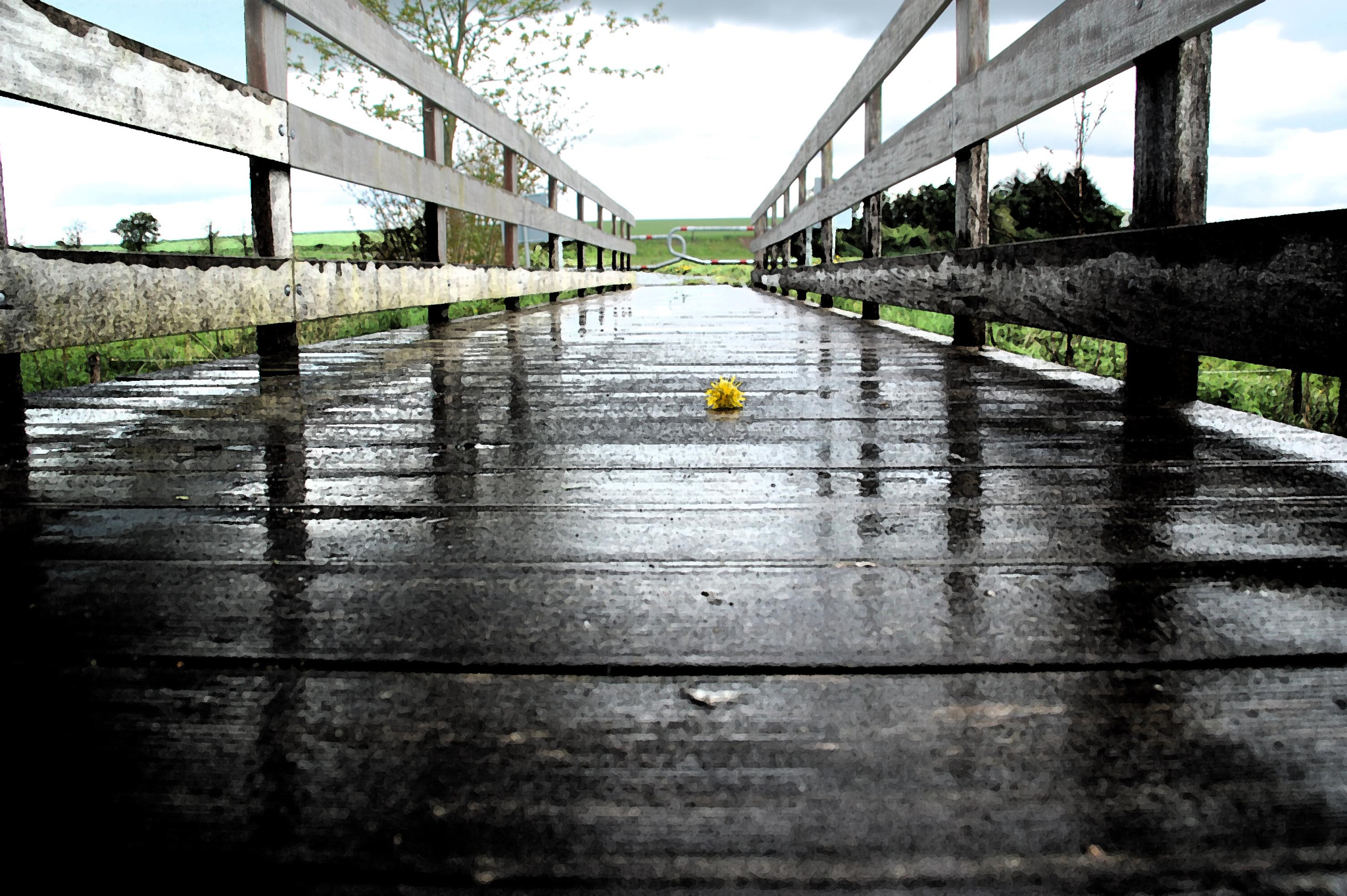 Nikon D40 sample photo. Martin photography