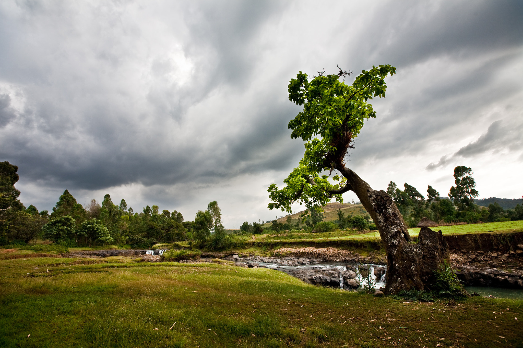 Canon EF 16-35mm F2.8L II USM sample photo. Ethiopian highlands photography