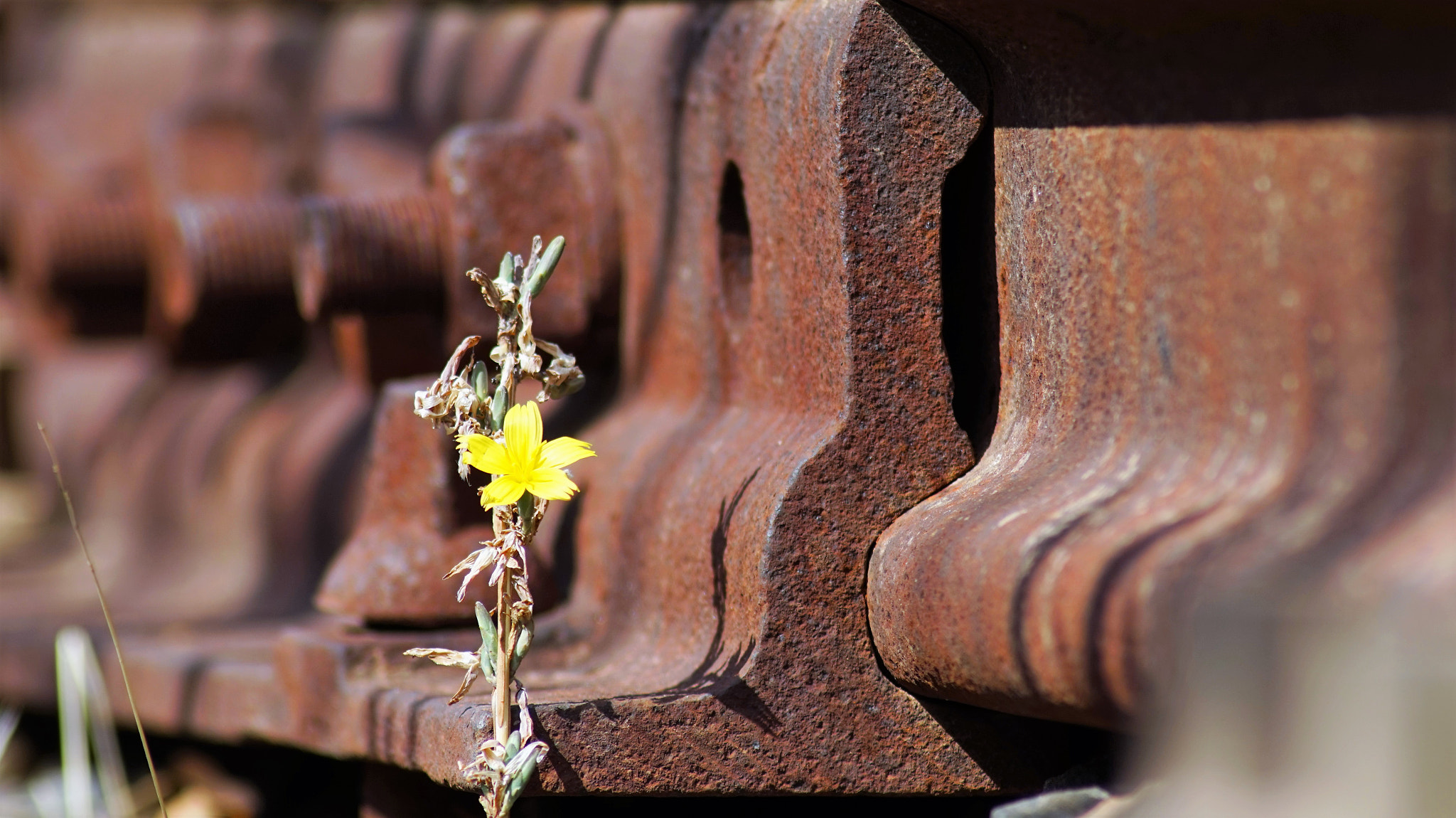 Sony Alpha a5000 (ILCE 5000) + Tamron 18-270mm F3.5-6.3 Di II PZD sample photo. Rail photography