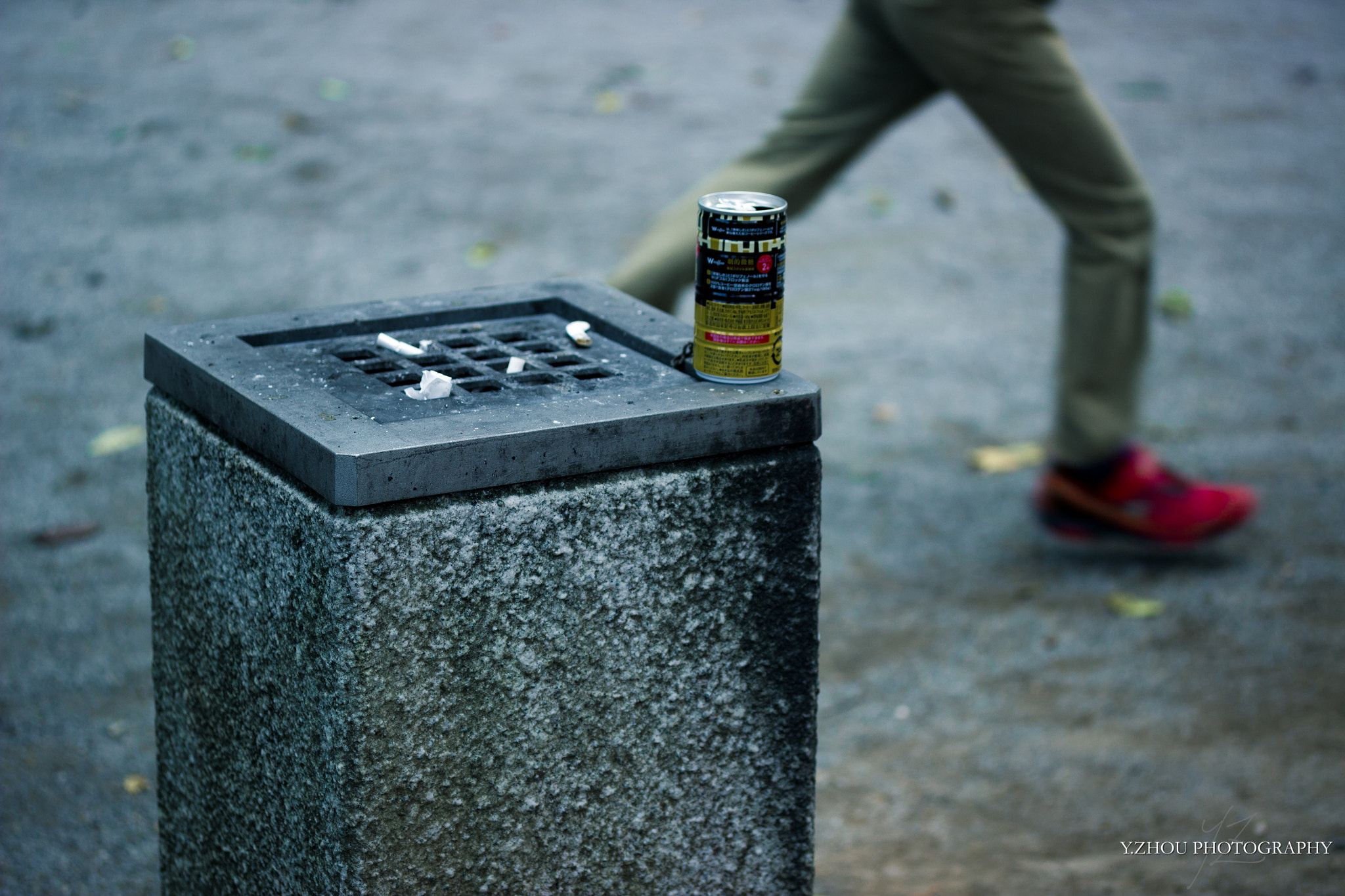 Canon EF-S 60mm F2.8 Macro USM sample photo. Park photography