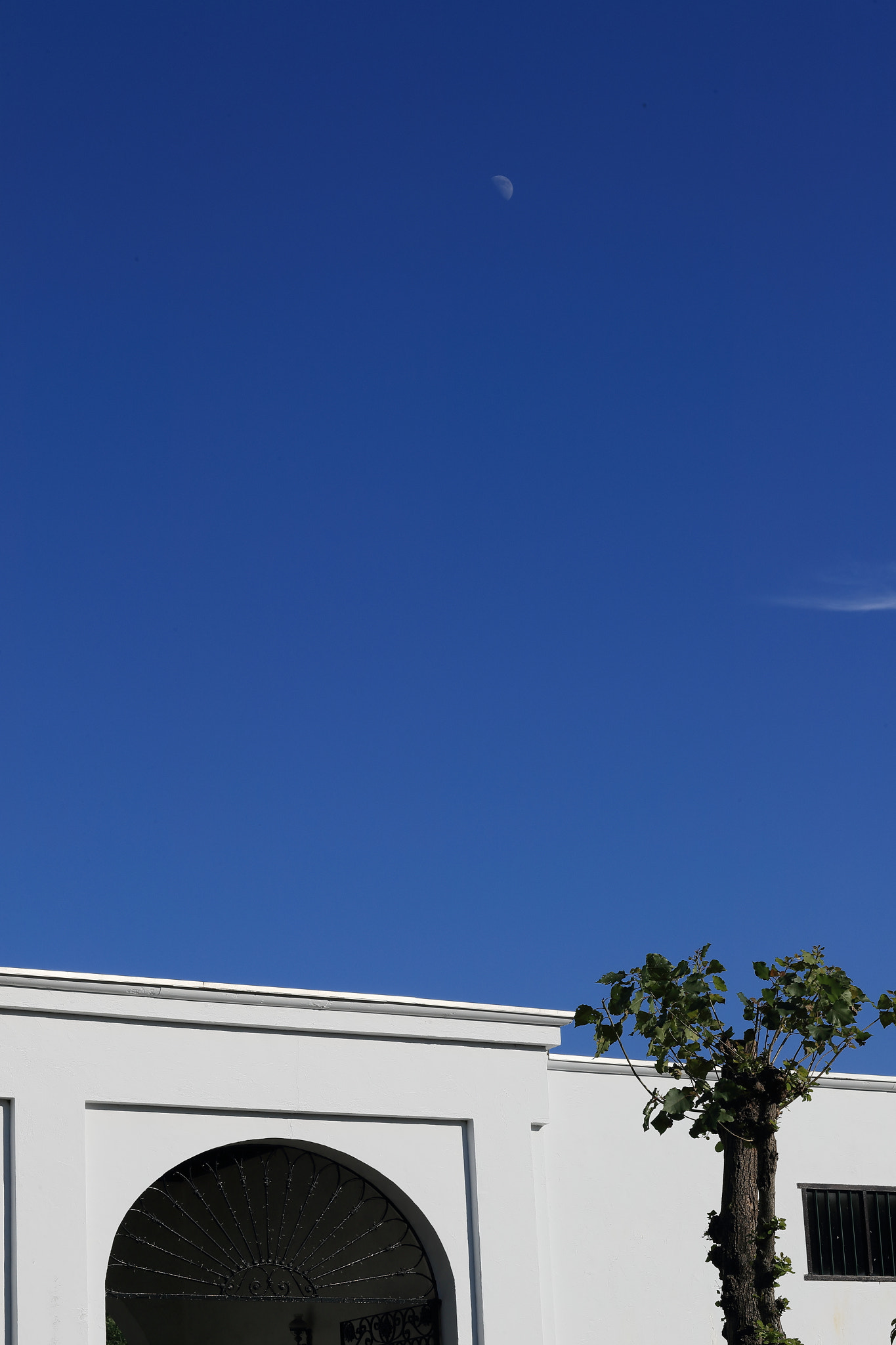 Canon EF 85mm F1.2L II USM sample photo. The moon photography