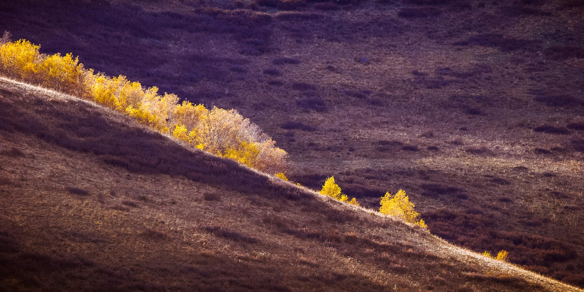 Nikon AF-S Nikkor 70-200mm F2.8G ED VR II sample photo