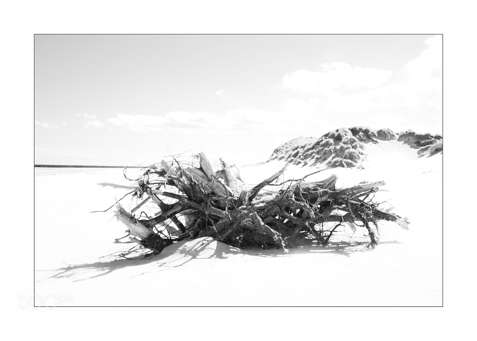 Nikon AF Nikkor 24-85mm F2.8-4D IF sample photo. Driftwood b photography