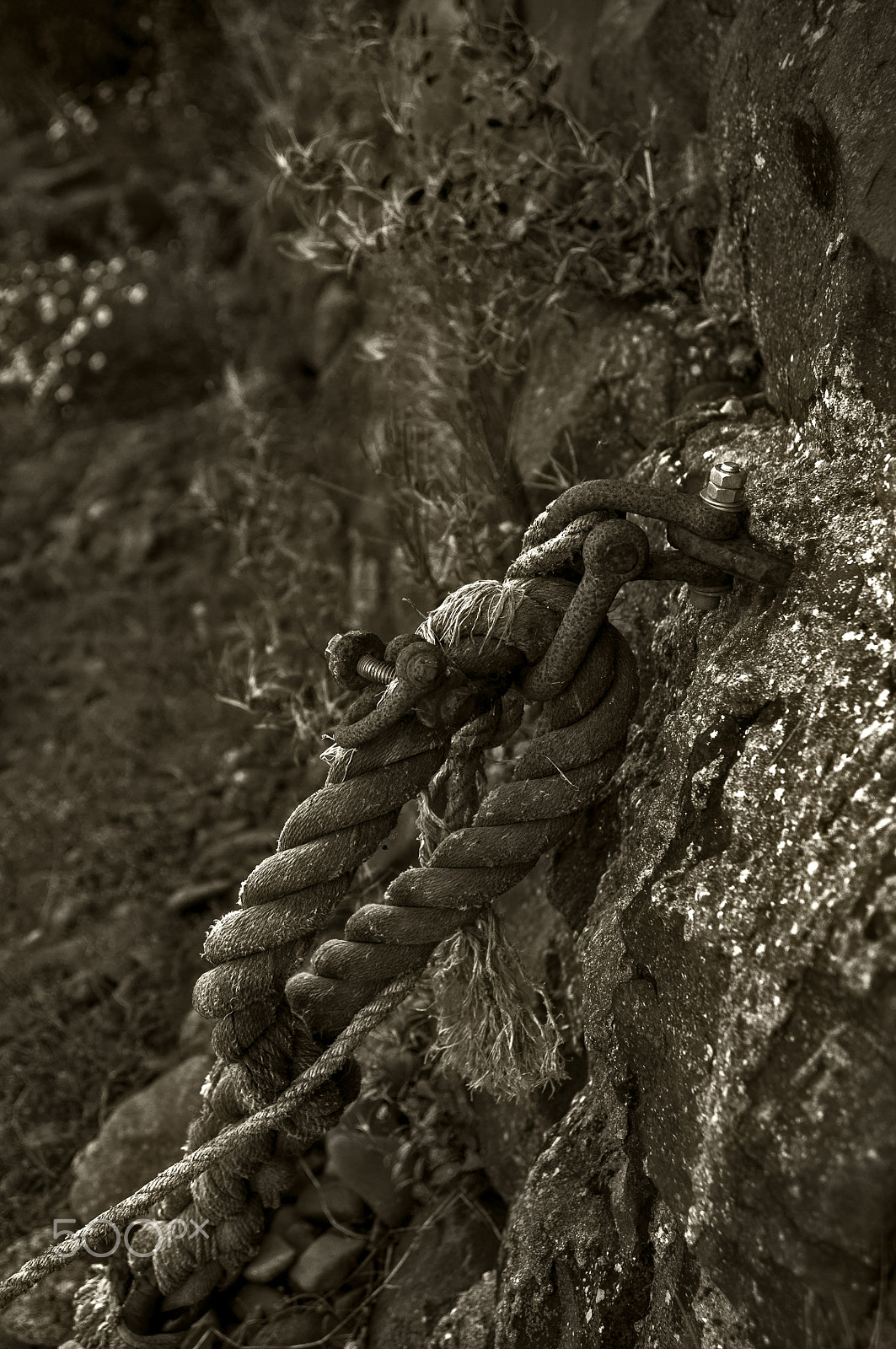 Nikon AF Nikkor 24-85mm F2.8-4D IF sample photo. Rope photography