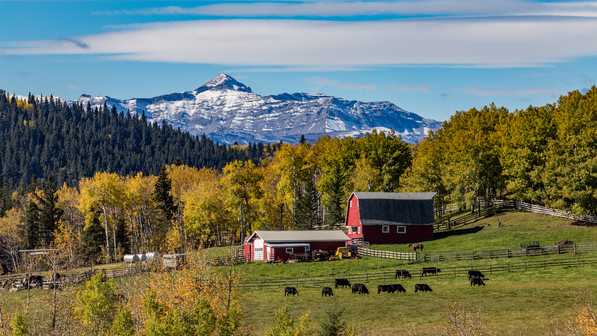 Canon EOS 6D + Canon EF 70-200mm F2.8L IS II USM sample photo. Red barn photography