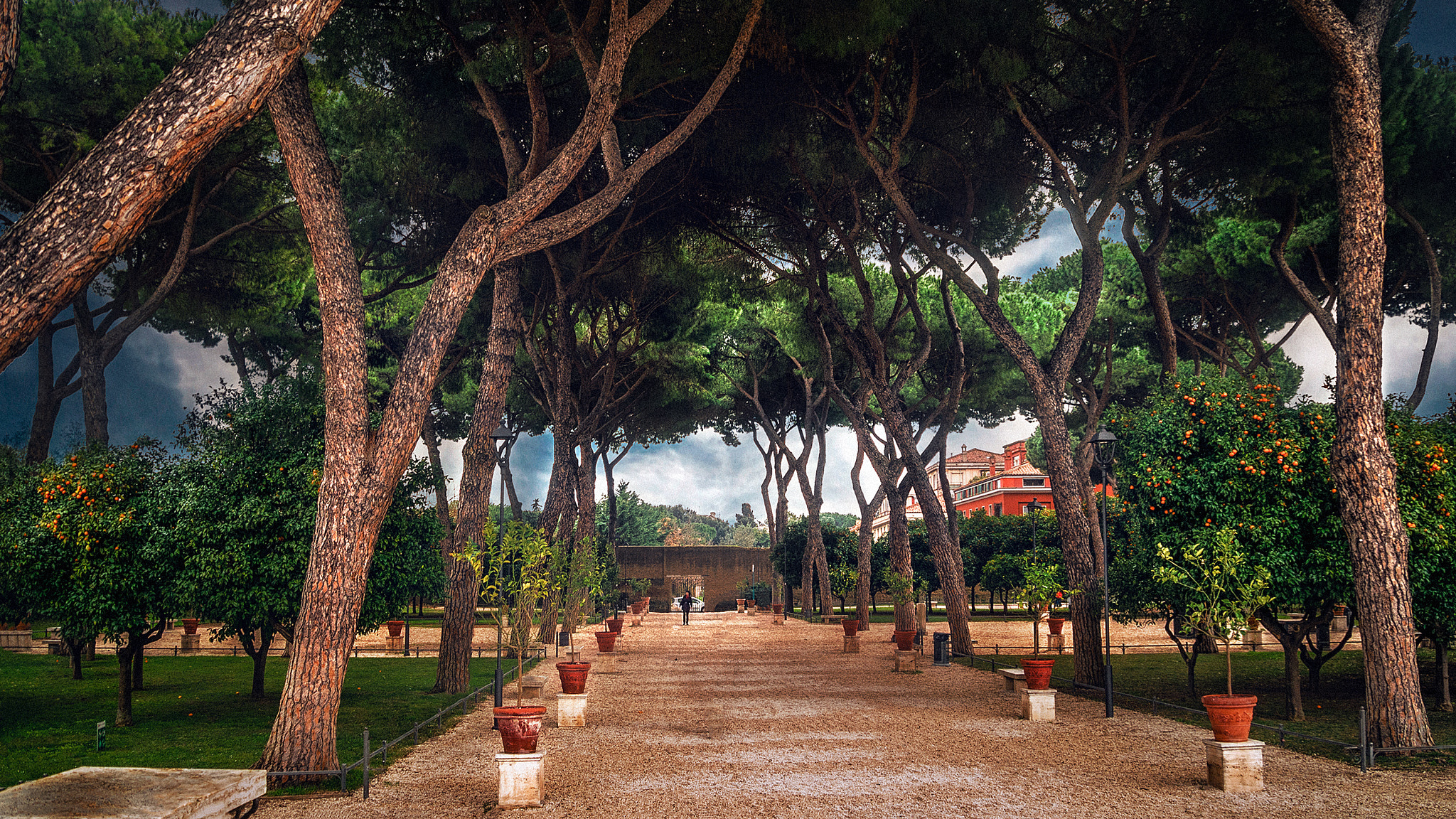 Panasonic Lumix DMC-G2 sample photo. Orange gardens on the aventine hill photography