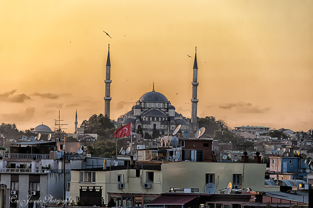 Sigma 18-200mm f/3.5-6.3 DC OS sample photo. Estambul photography