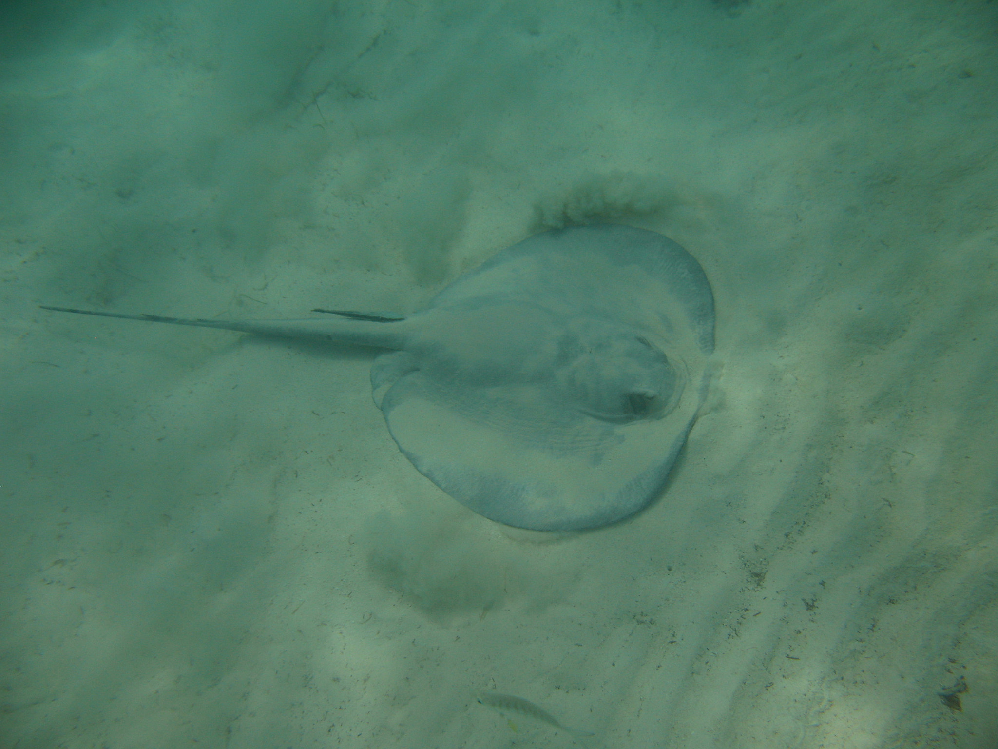 Canon POWERSHOT A630 sample photo. Excursions in cancun tours photography