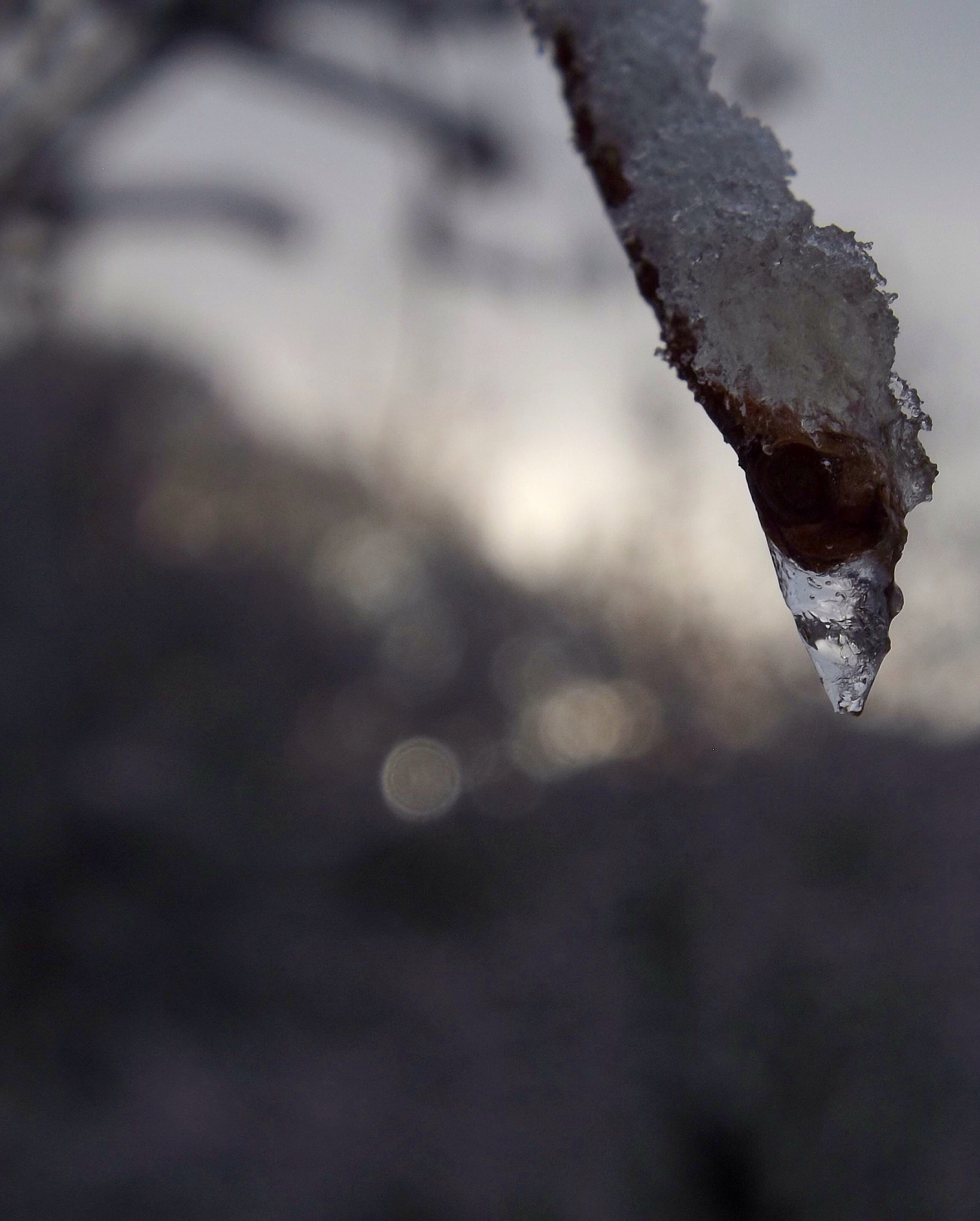 Fujifilm FinePix S4900 sample photo. Snow photography