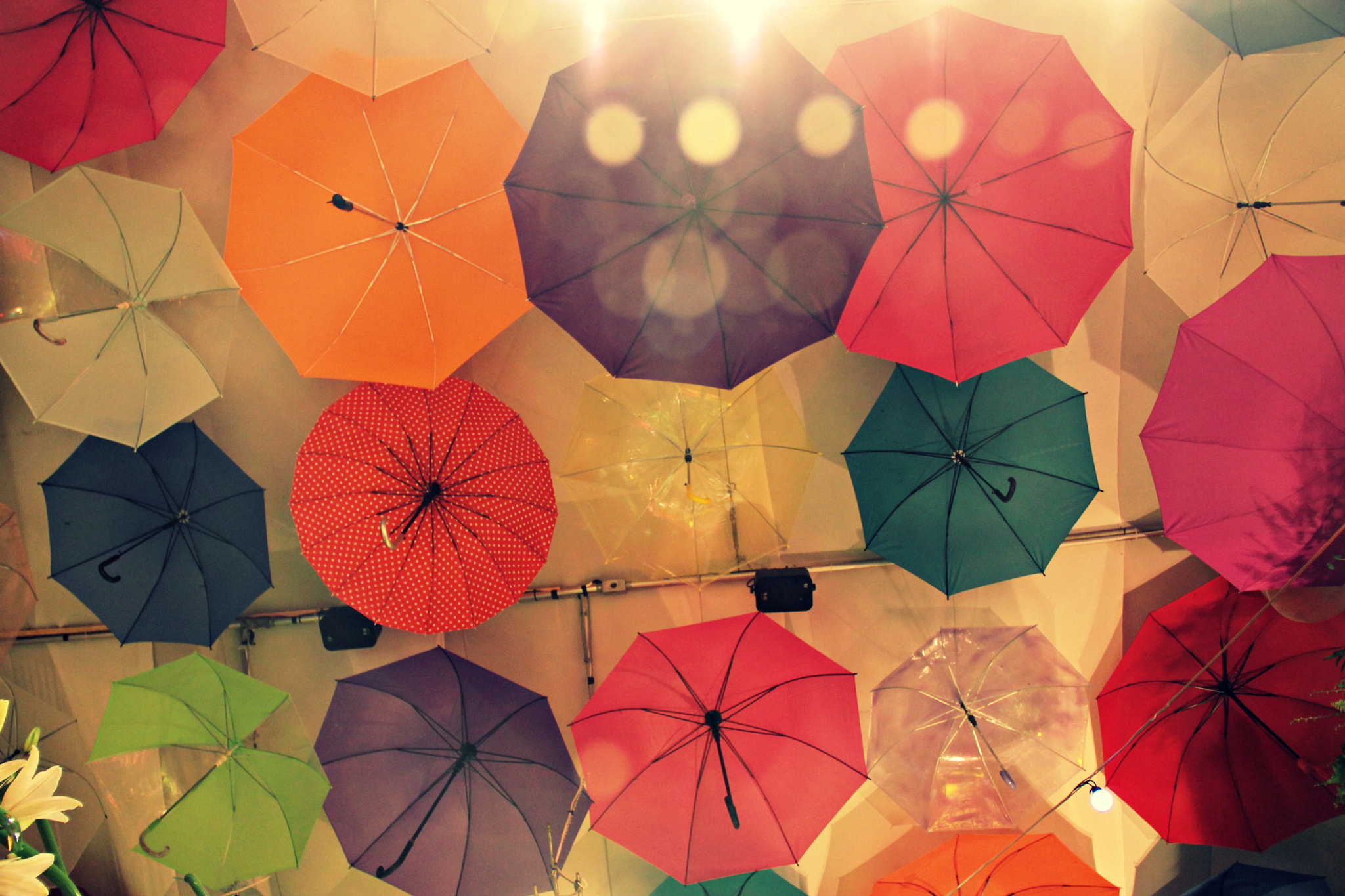 Canon EOS 1100D (EOS Rebel T3 / EOS Kiss X50) sample photo. Umbrellas photography