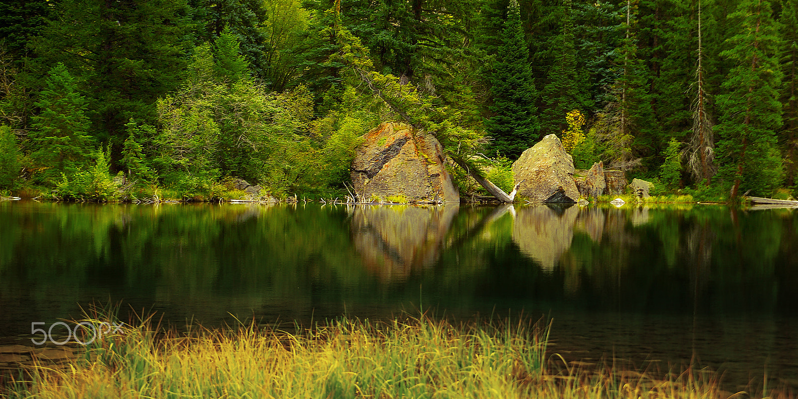 Kodak DCS Pro 14N sample photo. Lizard lake colorado photography