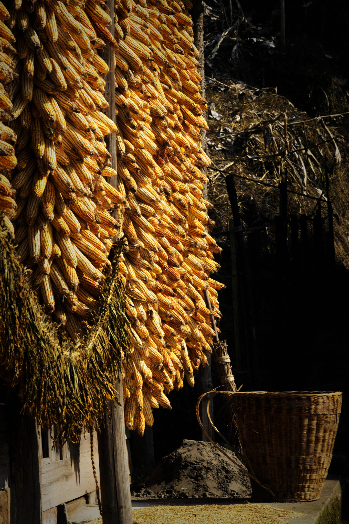 Nikon D3 sample photo. The fruits of harvest photography