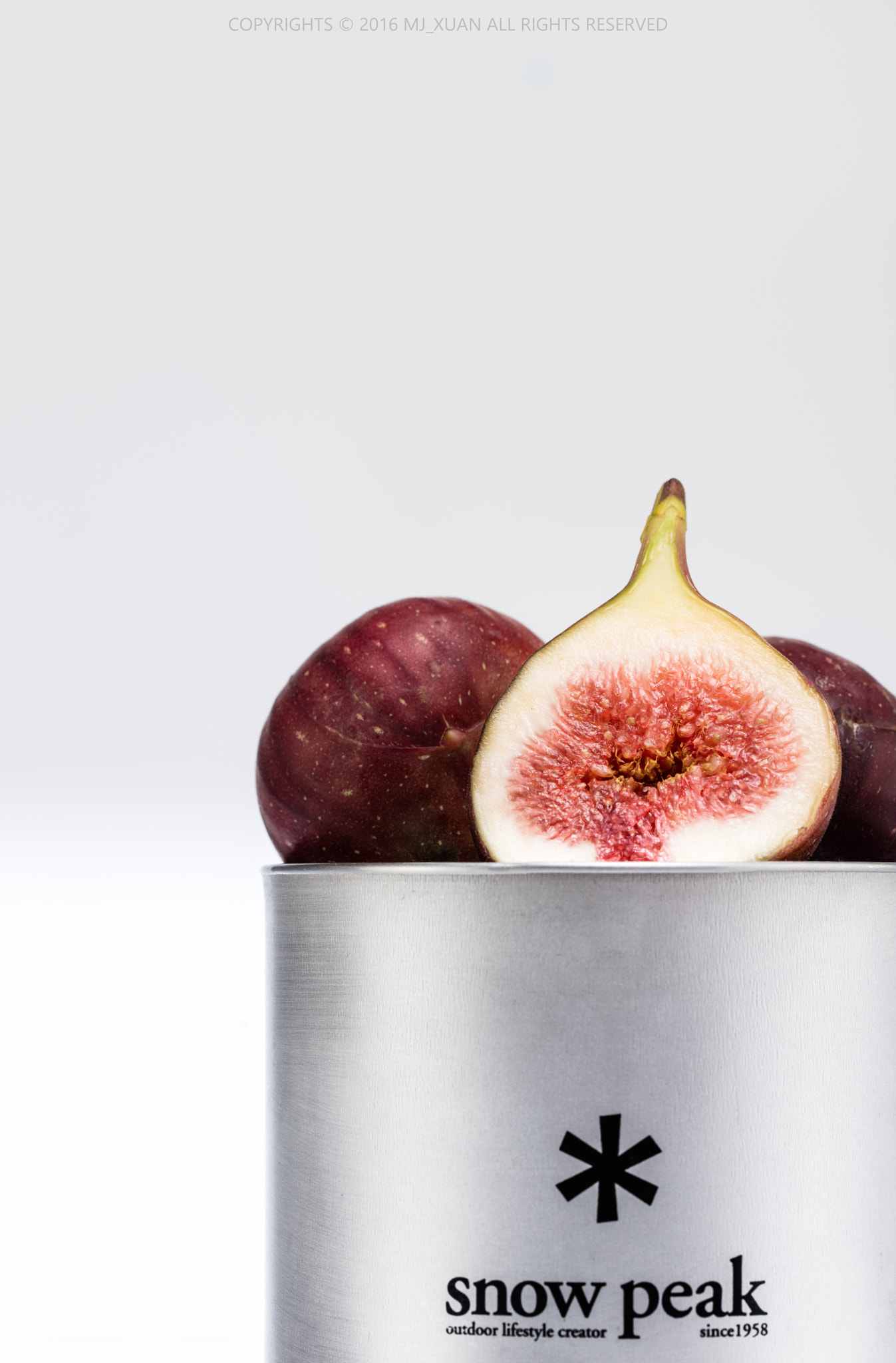 Canon EF 100mm F2.8L Macro IS USM sample photo. Figs photography