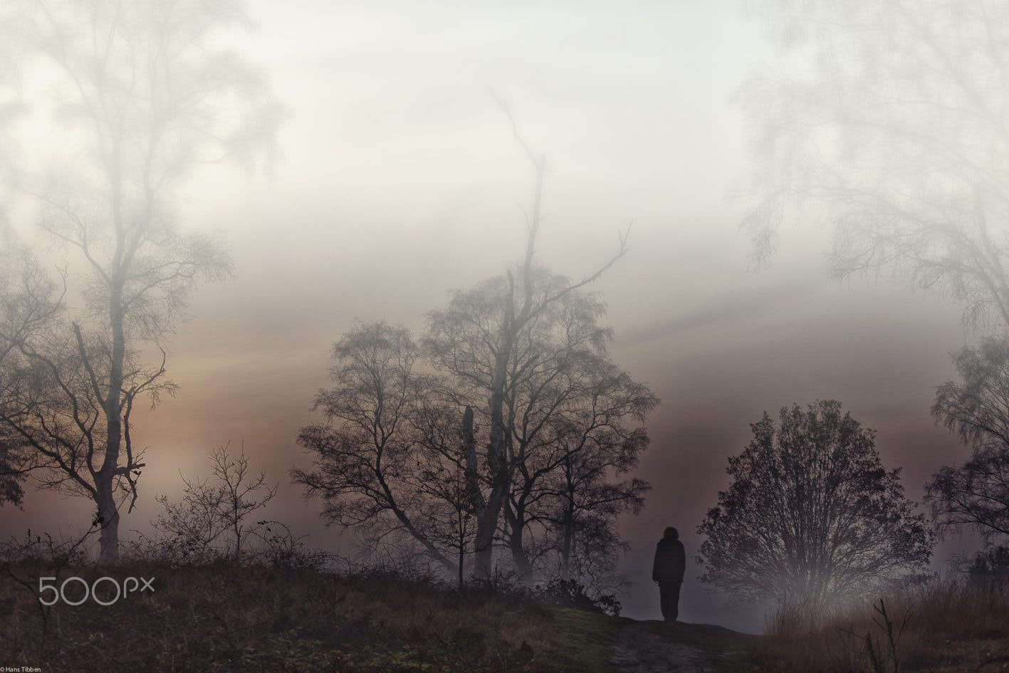 Canon EOS-1Ds Mark III sample photo. Walk in the fog and play misty for me! photography