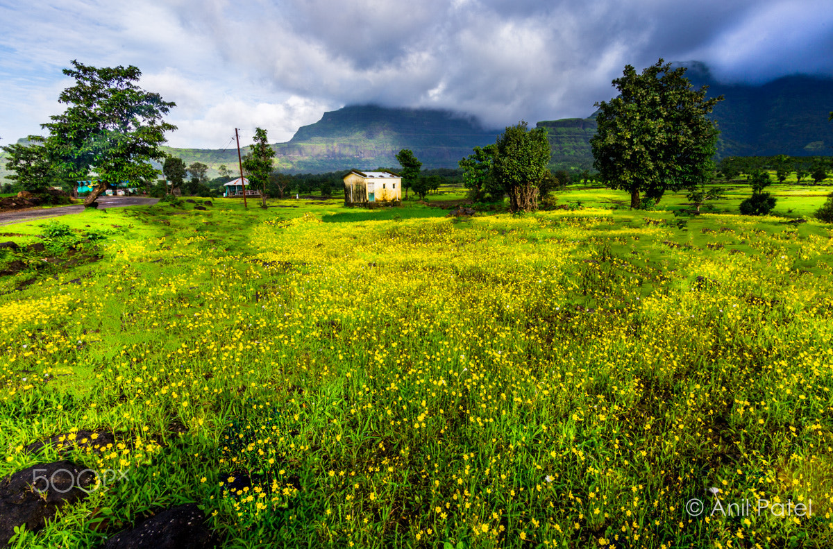 Canon EF-S 17-85mm F4-5.6 IS USM sample photo. The earth laughs in flowers photography