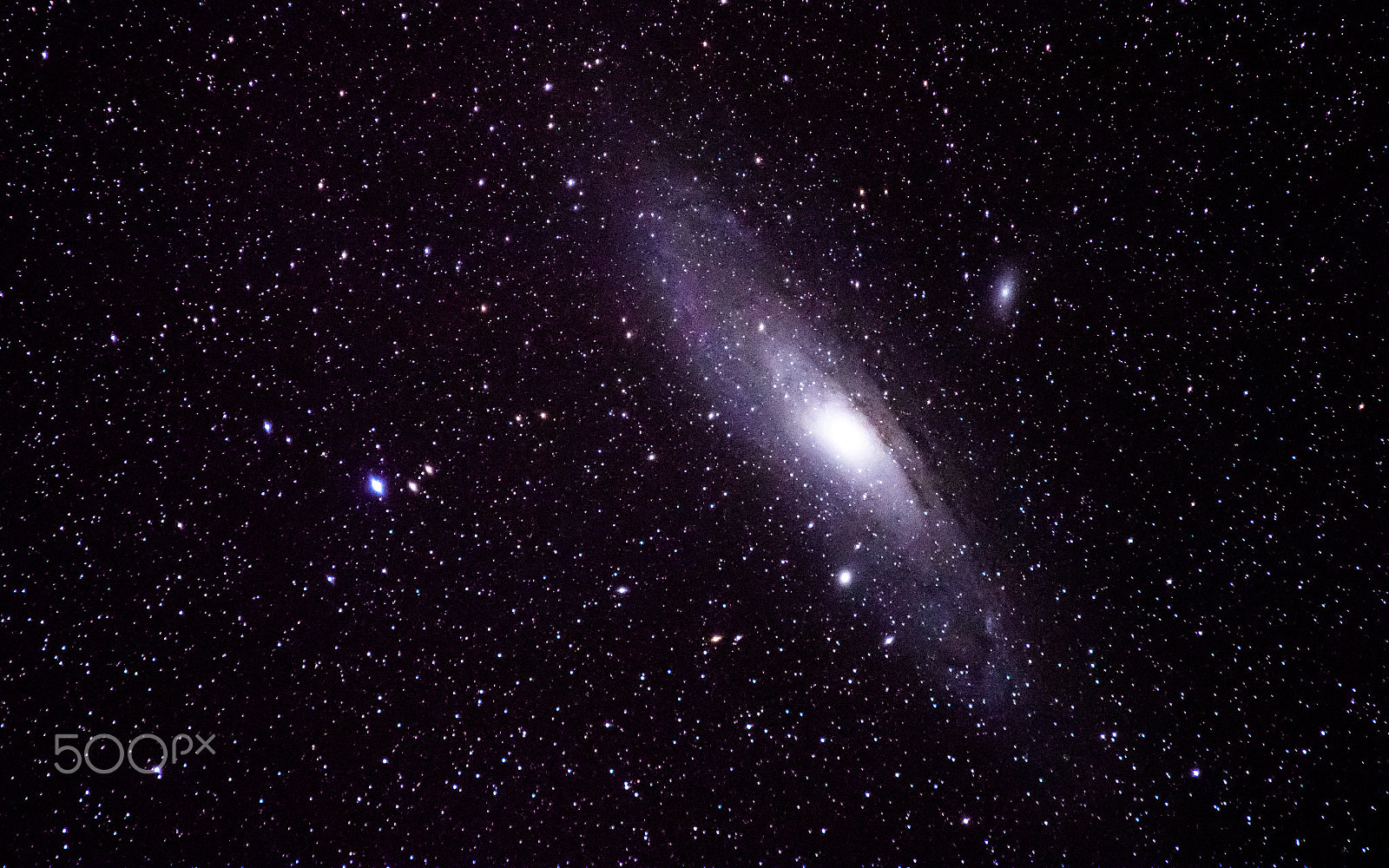 Tamron SP 35mm F1.8 Di VC USD sample photo. My m31 photography