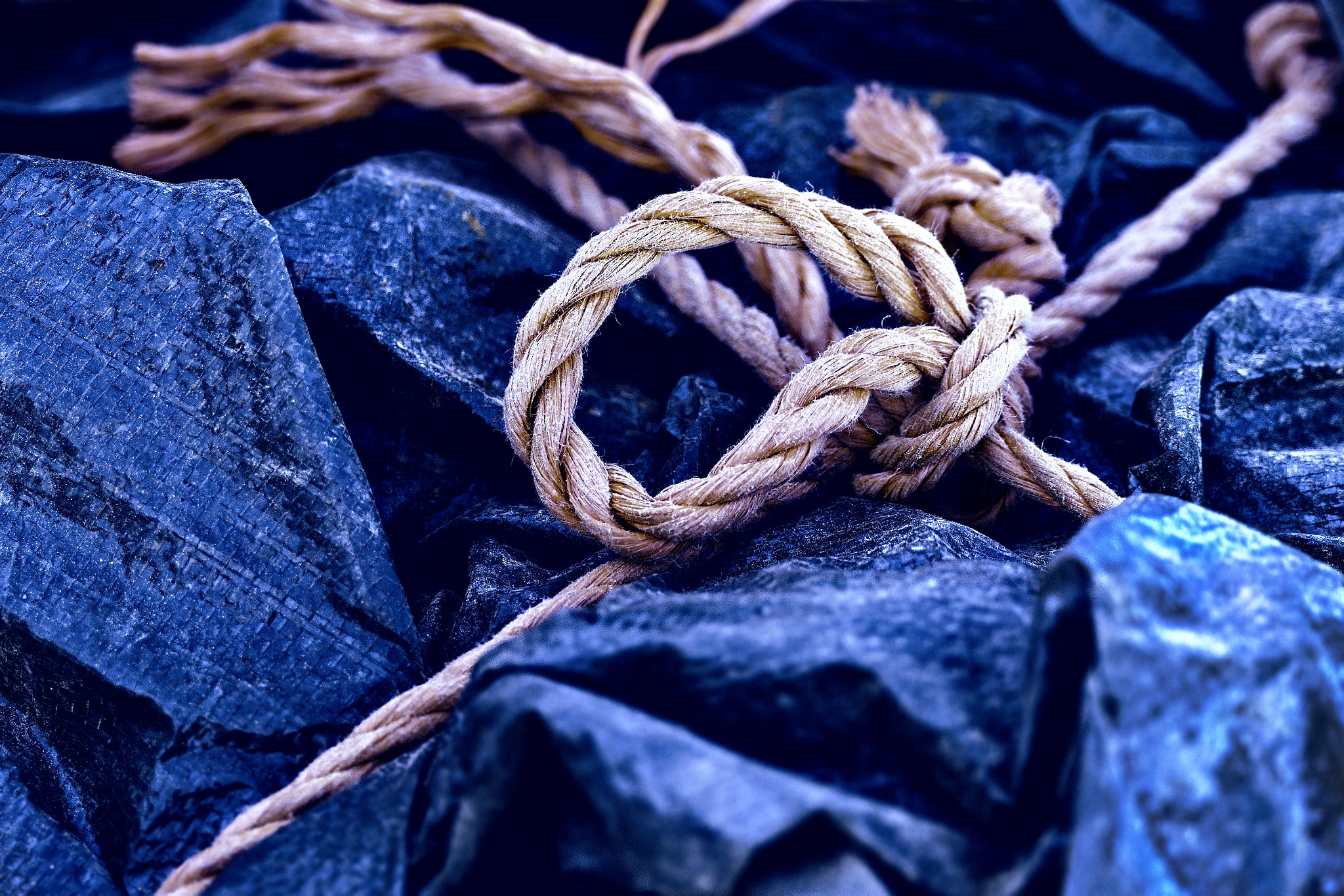 Sony 70-400mm F4-5.6 G SSM II sample photo. Knot photography