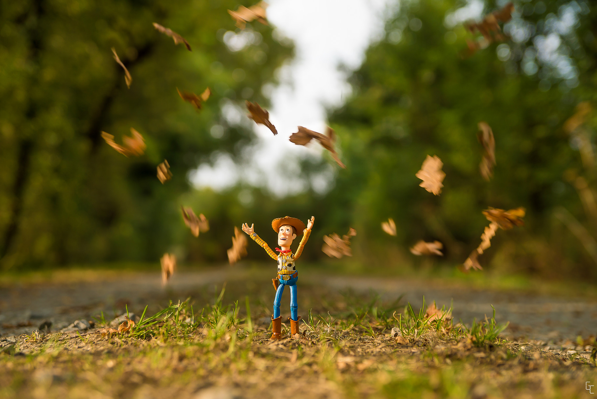 Sony a7S sample photo. Autumn is here ! photography