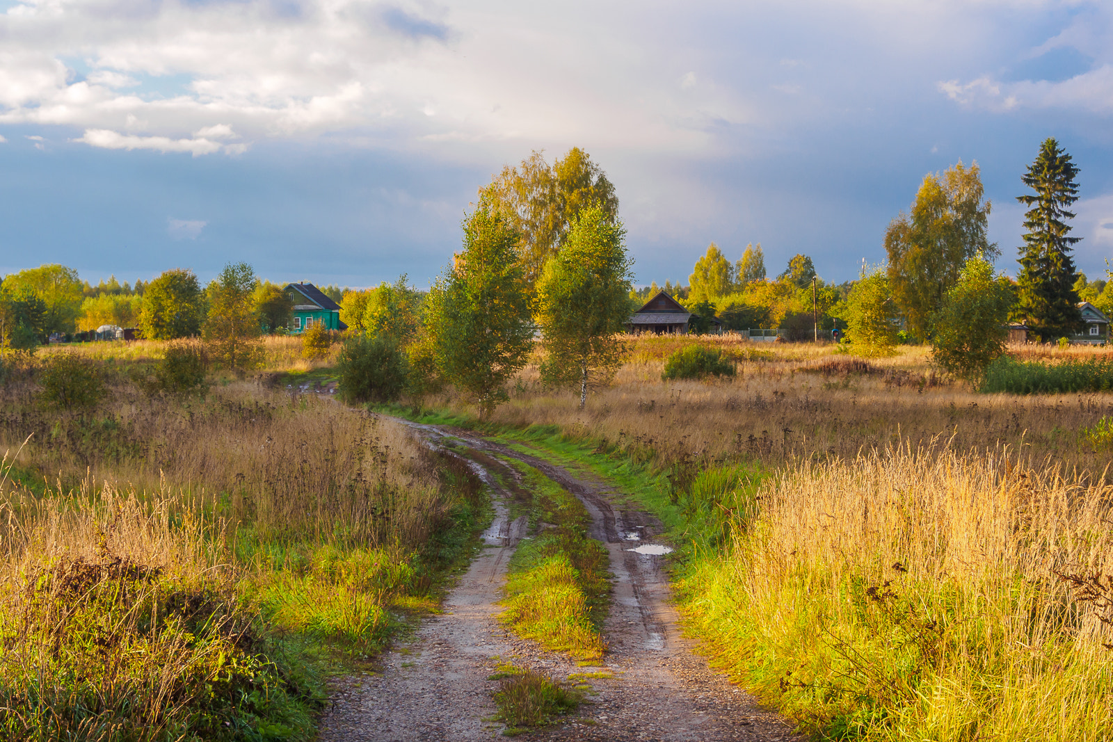 Olympus OM-D E-M10 sample photo. Autumn photography